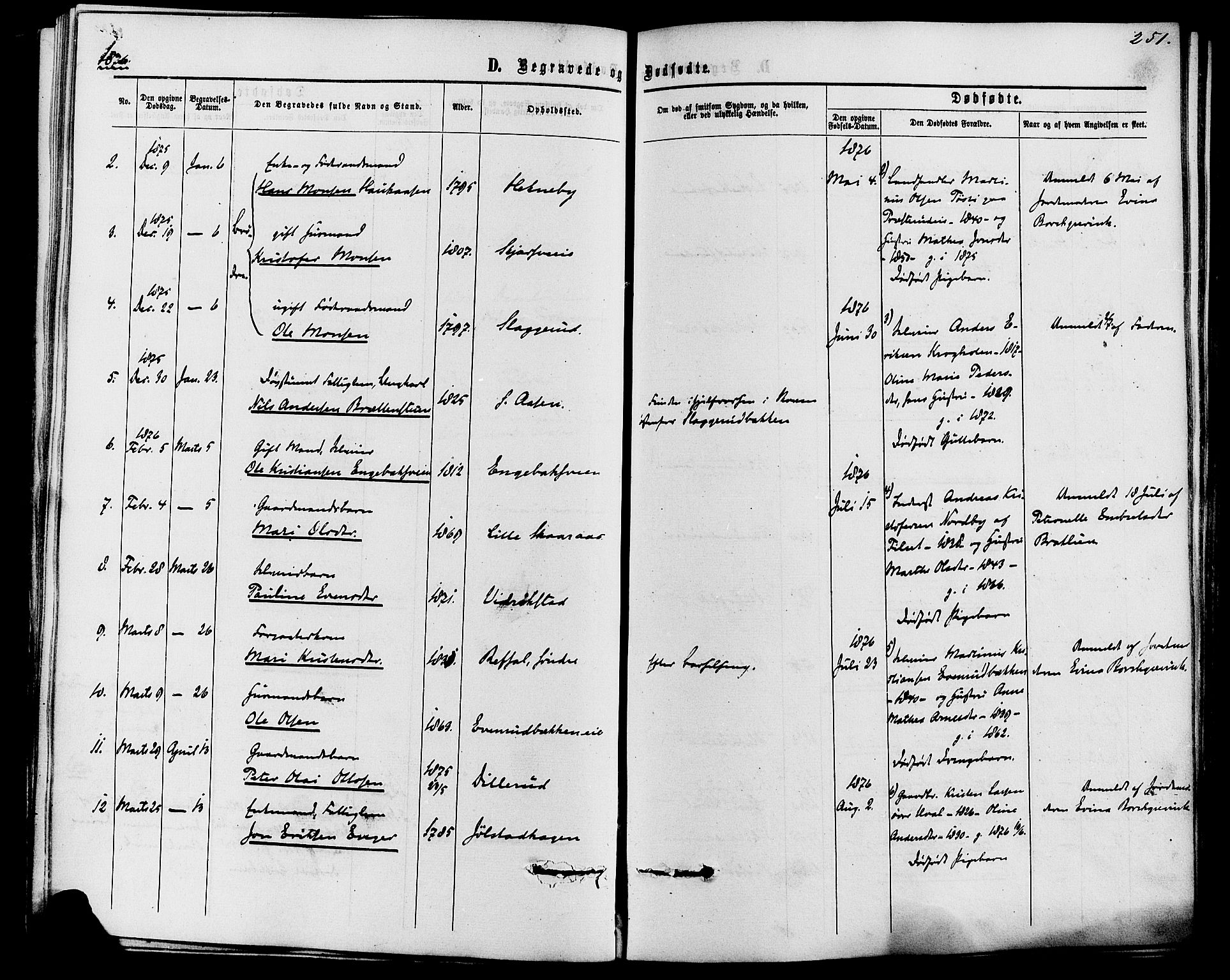 Romedal prestekontor, SAH/PREST-004/K/L0006: Parish register (official) no. 6, 1866-1886, p. 251