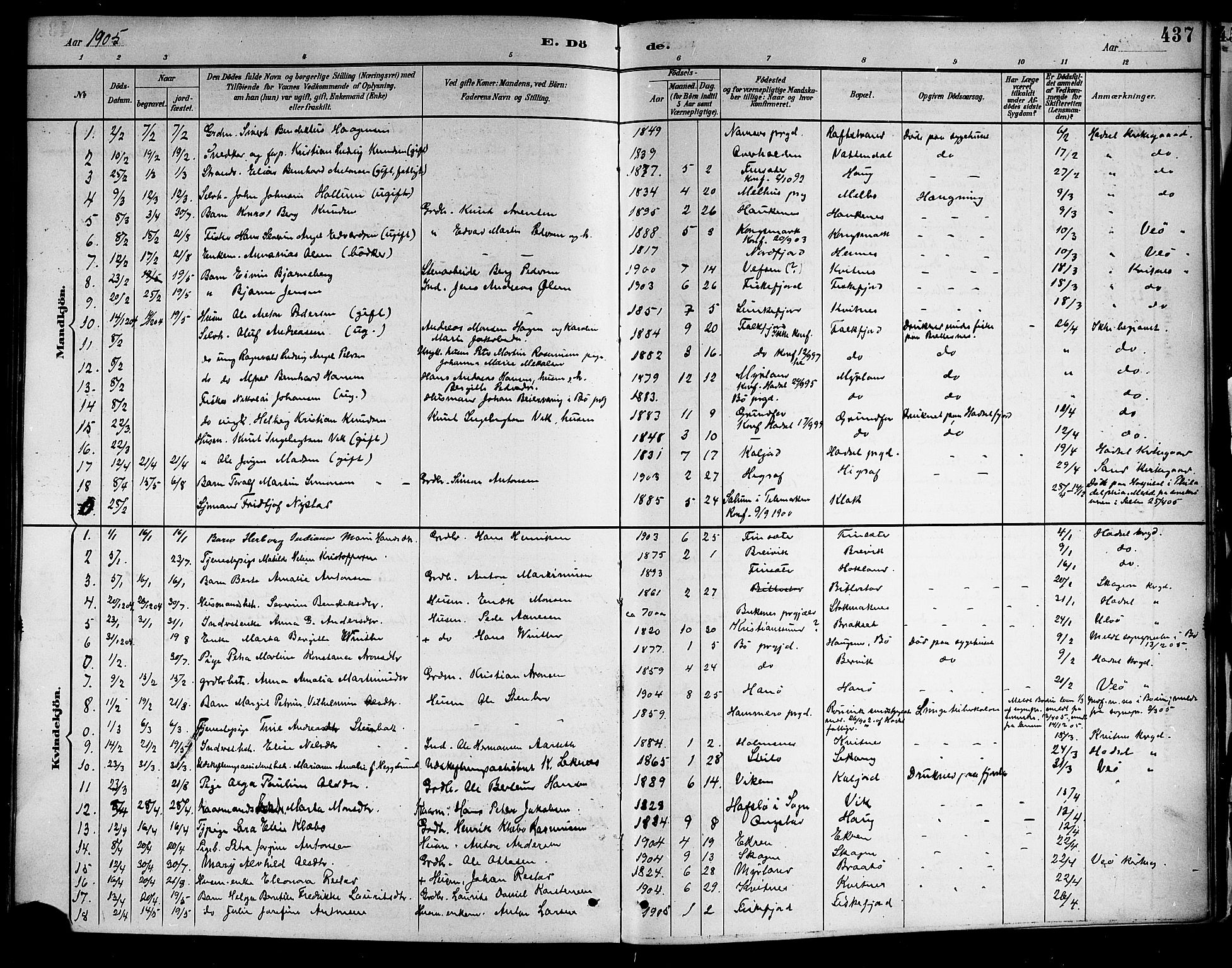 Ministerialprotokoller, klokkerbøker og fødselsregistre - Nordland, AV/SAT-A-1459/888/L1268: Parish register (copy) no. 888C06, 1891-1908, p. 437