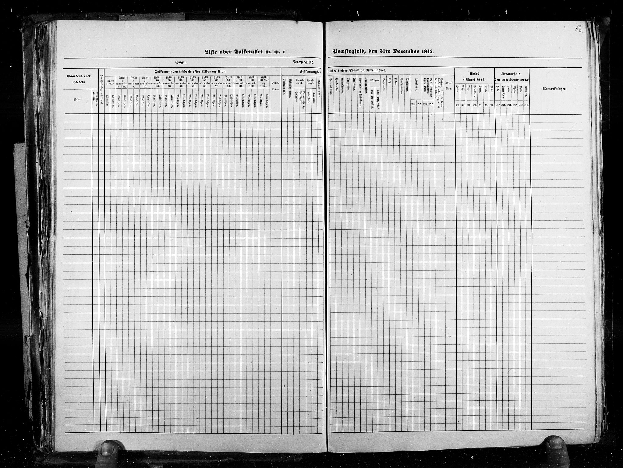 RA, Census 1845, vol. 3: Hedemarken amt og Kristians amt, 1845, p. 86