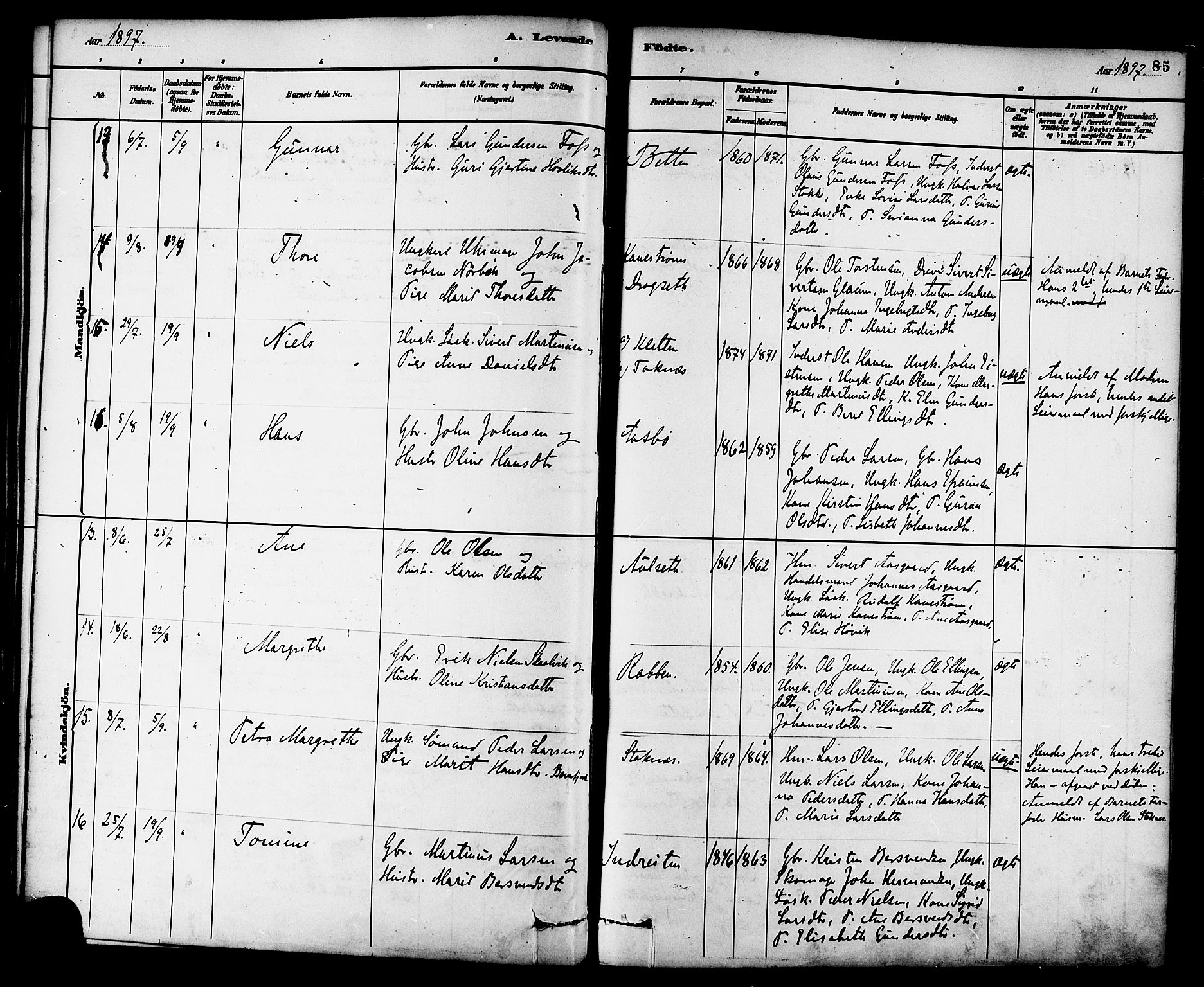 Ministerialprotokoller, klokkerbøker og fødselsregistre - Møre og Romsdal, AV/SAT-A-1454/576/L0885: Parish register (official) no. 576A03, 1880-1898, p. 85