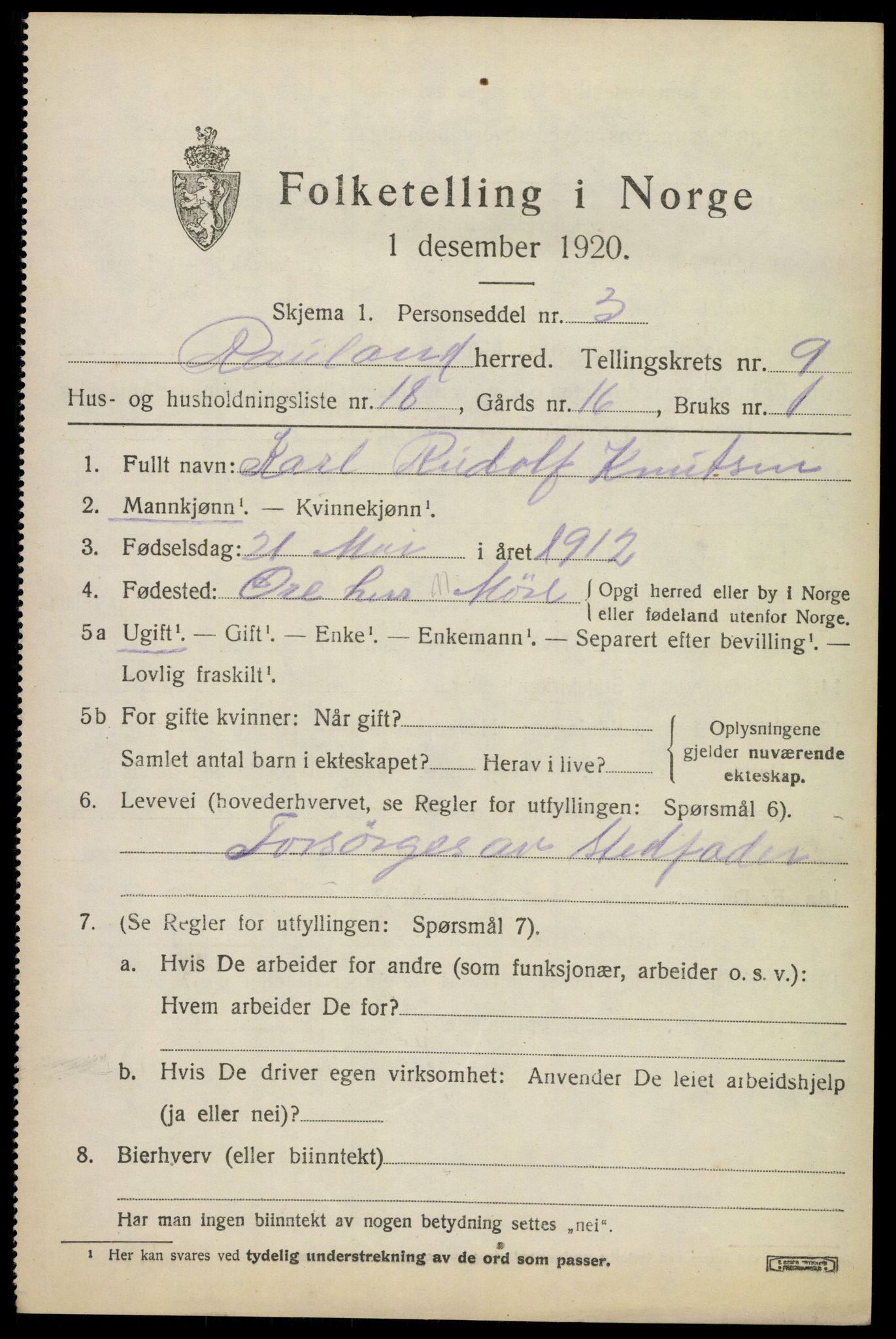 SAKO, 1920 census for Rauland, 1920, p. 2076