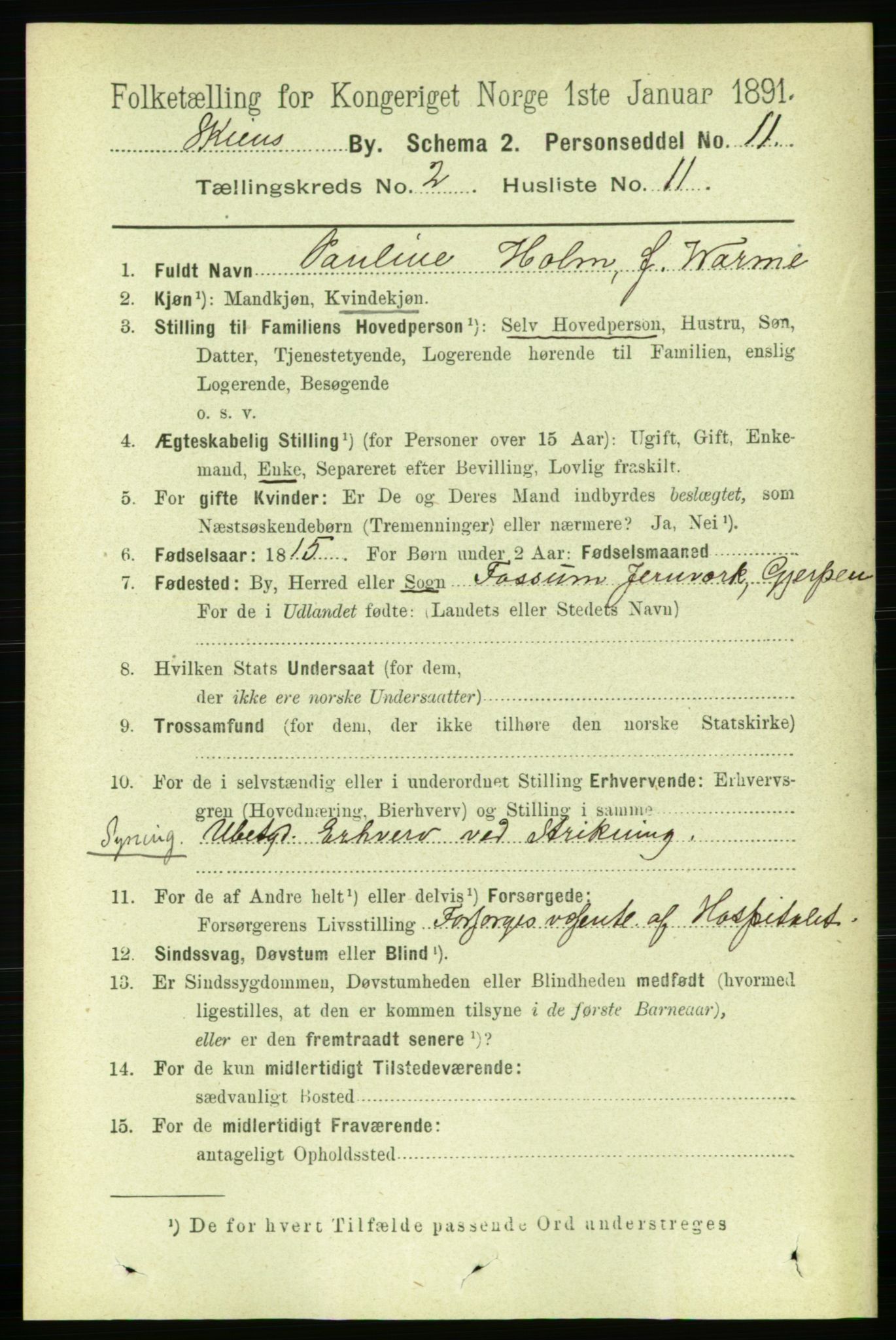 RA, 1891 census for 0806 Skien, 1891, p. 2417