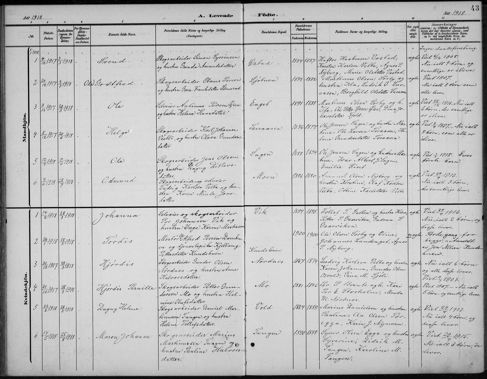 Åmot prestekontor, Hedmark, AV/SAH-PREST-056/H/Ha/Hab/L0003: Parish register (copy) no. 3, 1902-1938, p. 43