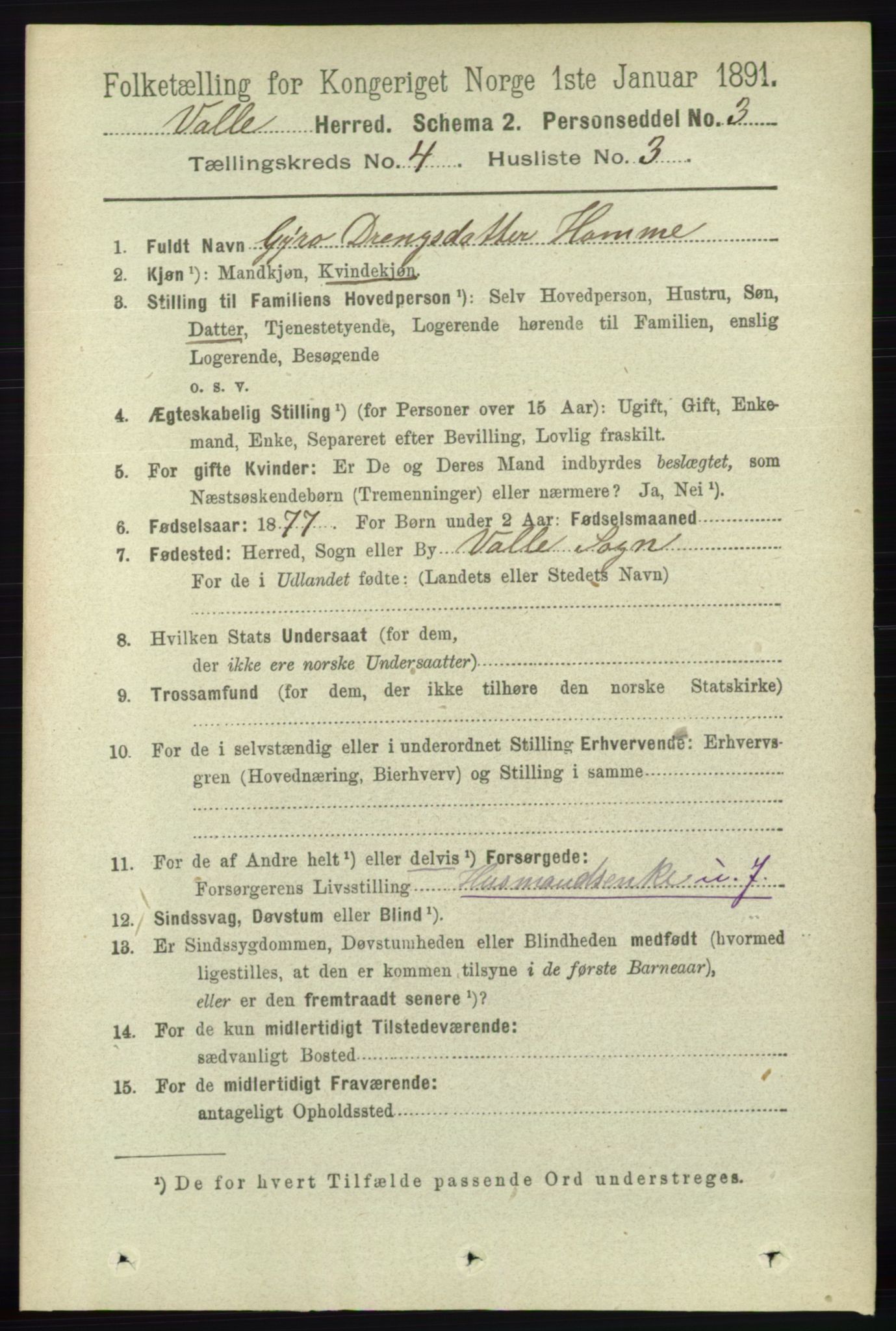 RA, 1891 census for 0940 Valle, 1891, p. 1014
