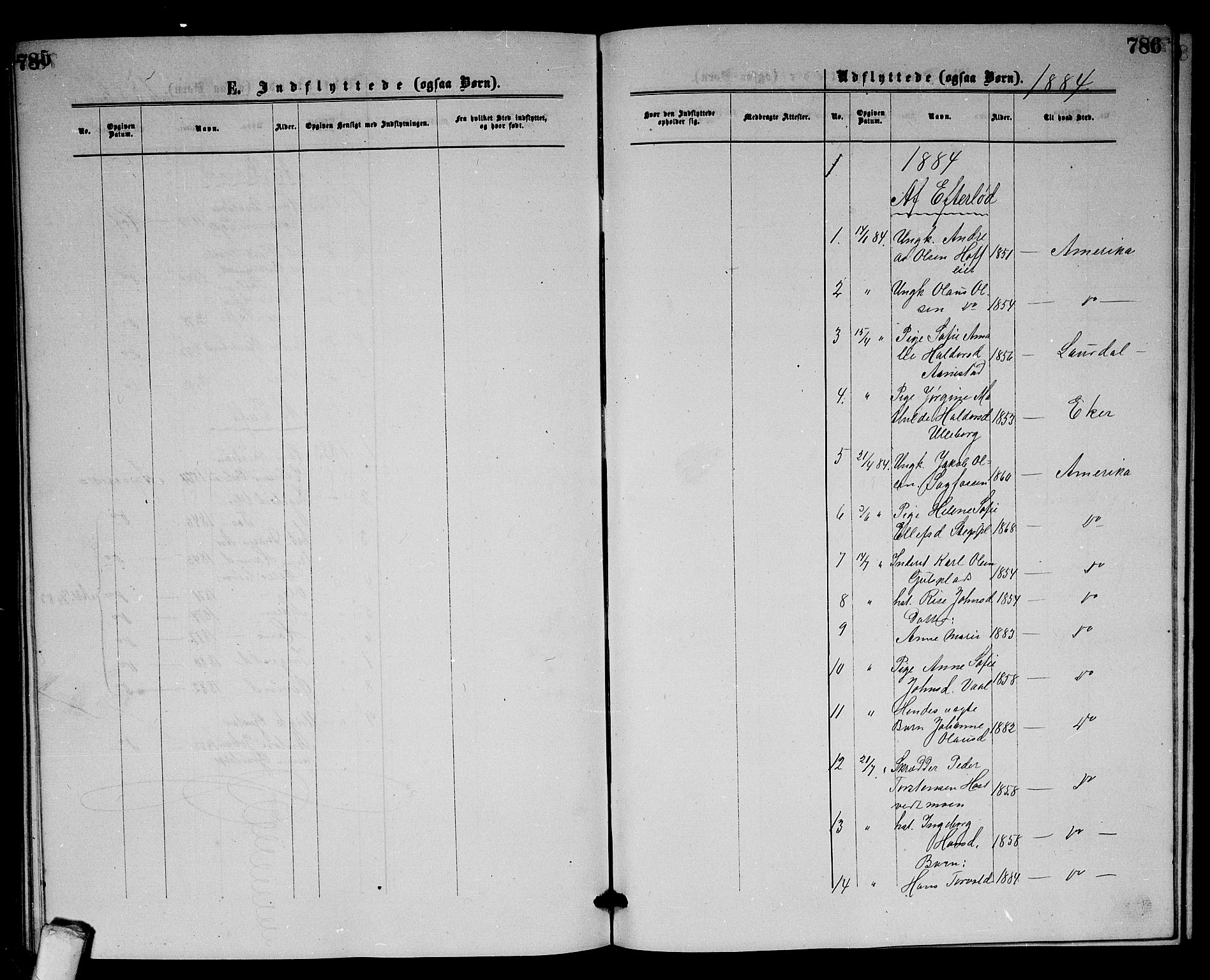 Sandsvær kirkebøker, AV/SAKO-A-244/G/Gb/L0001: Parish register (copy) no. II 1, 1874-1885, p. 785-786