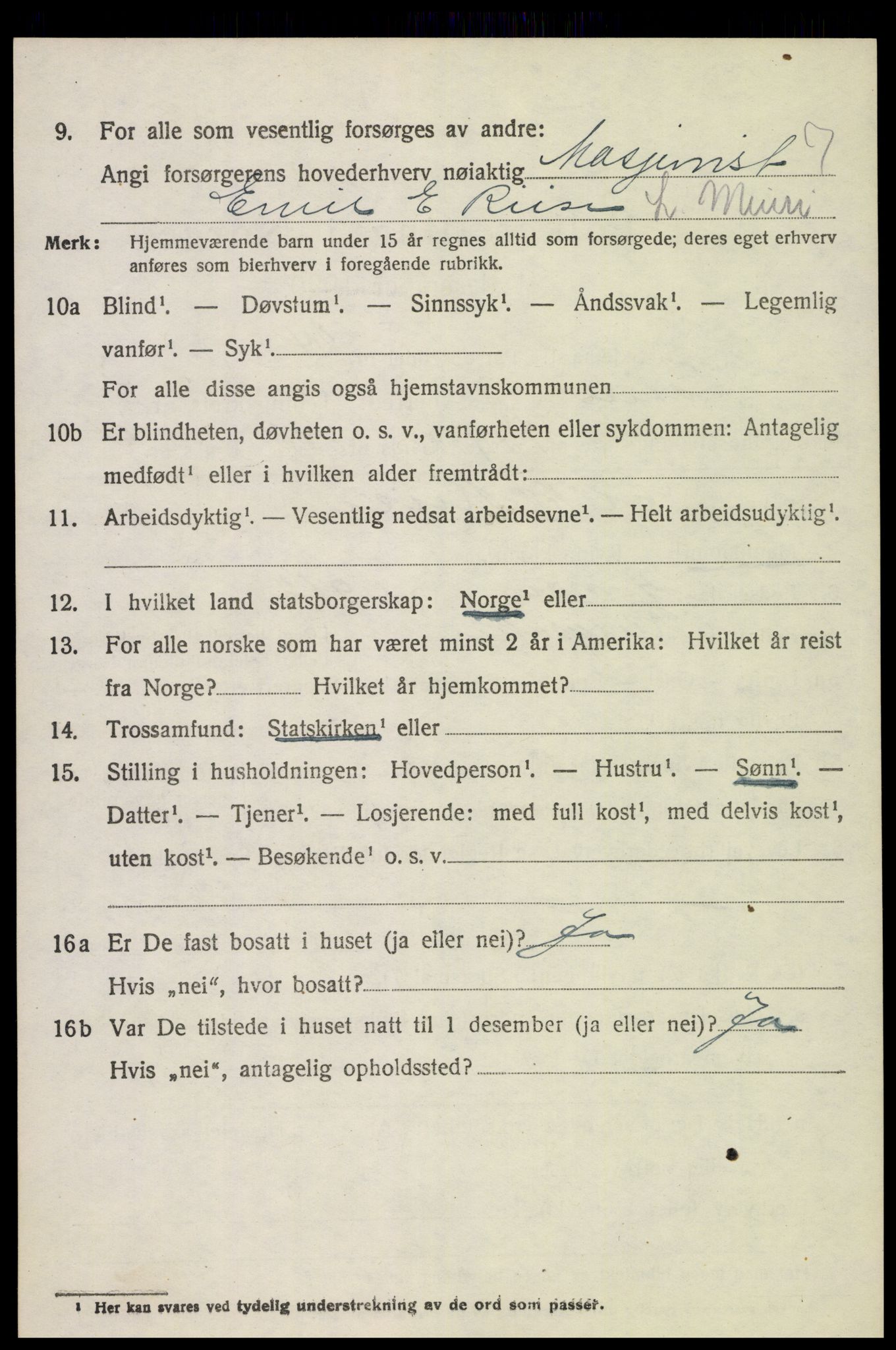 SAH, 1920 census for Løten, 1920, p. 11850