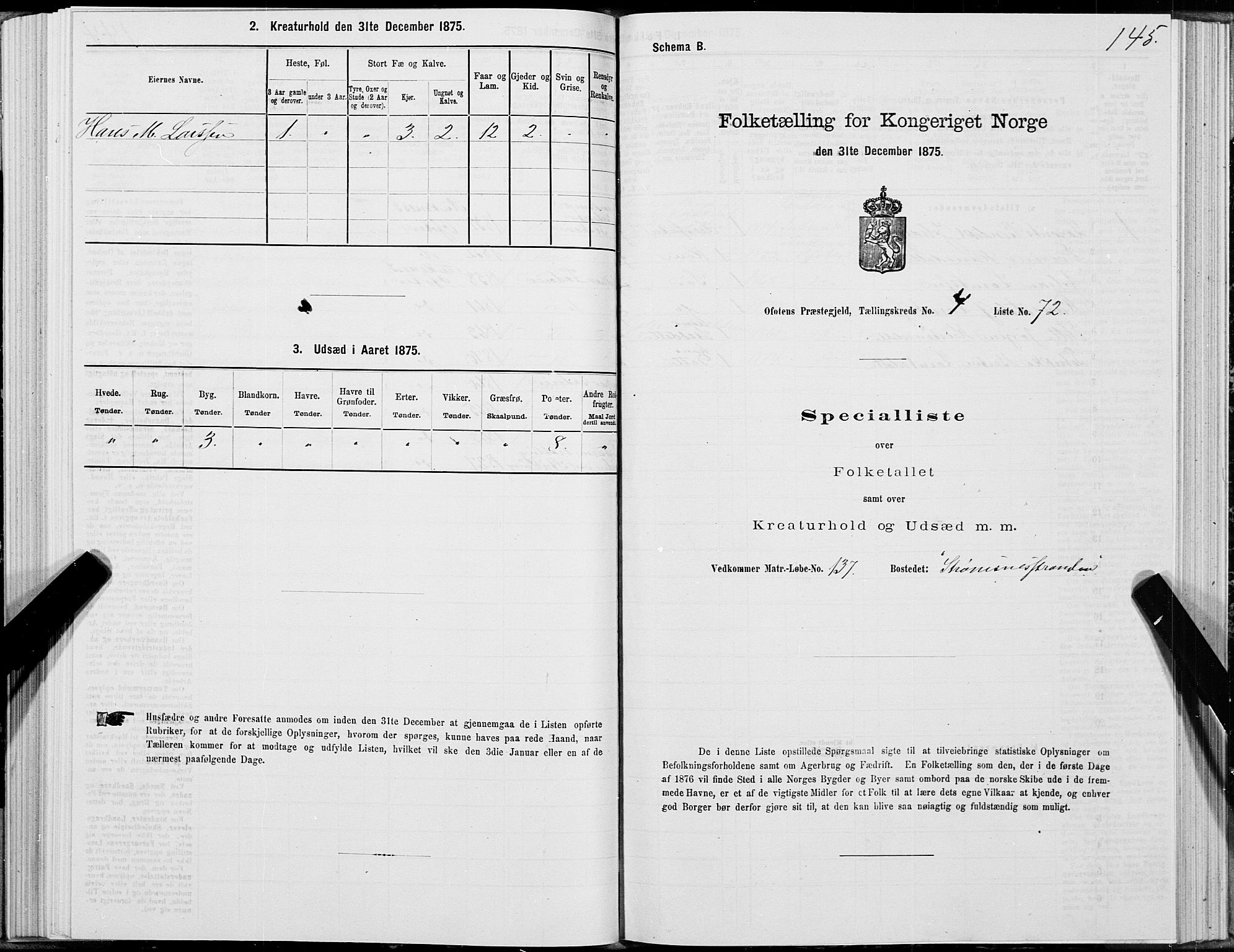 SAT, 1875 census for 1853P Ofoten, 1875, p. 3145