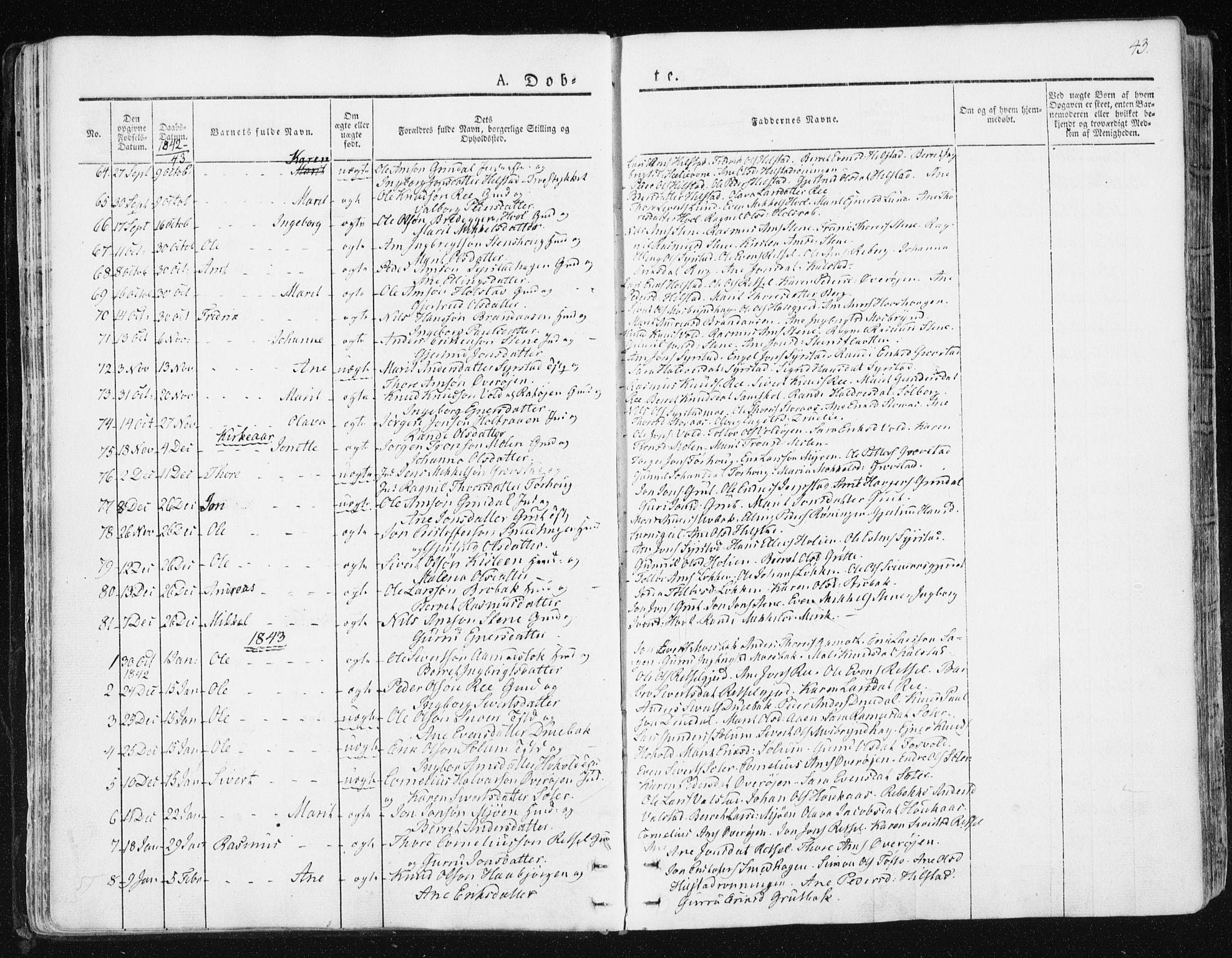 Ministerialprotokoller, klokkerbøker og fødselsregistre - Sør-Trøndelag, SAT/A-1456/672/L0855: Parish register (official) no. 672A07, 1829-1860, p. 43
