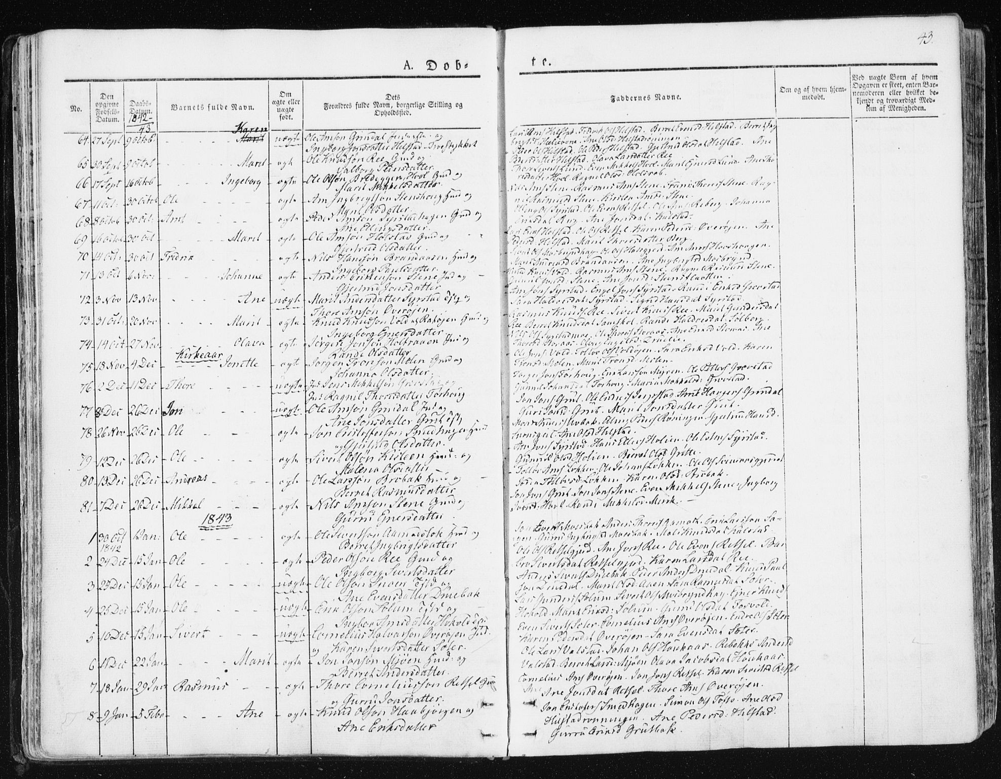 Ministerialprotokoller, klokkerbøker og fødselsregistre - Sør-Trøndelag, AV/SAT-A-1456/672/L0855: Parish register (official) no. 672A07, 1829-1860, p. 43