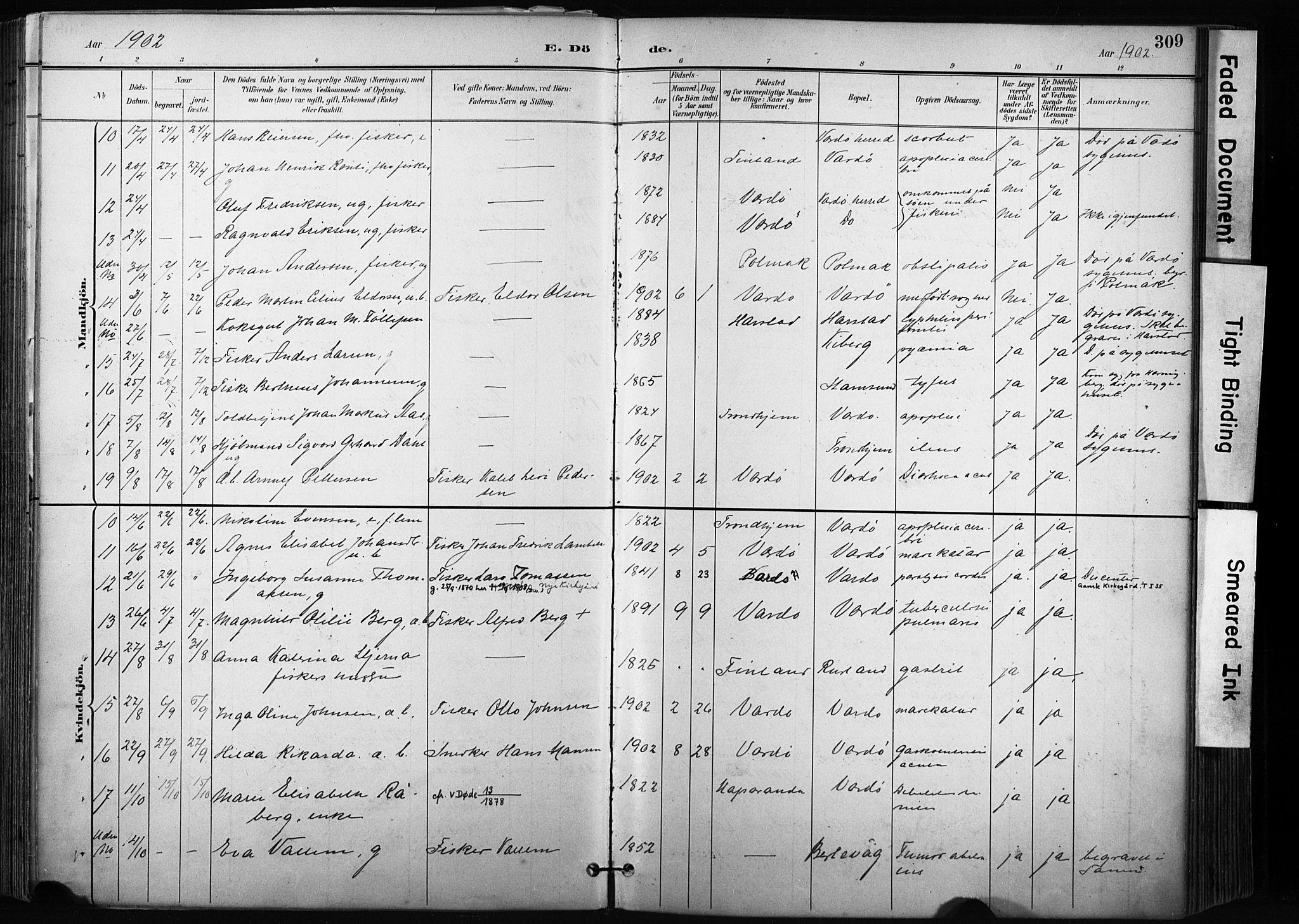 Vardø sokneprestkontor, SATØ/S-1332/H/Ha/L0010kirke: Parish register (official) no. 10, 1895-1907, p. 309