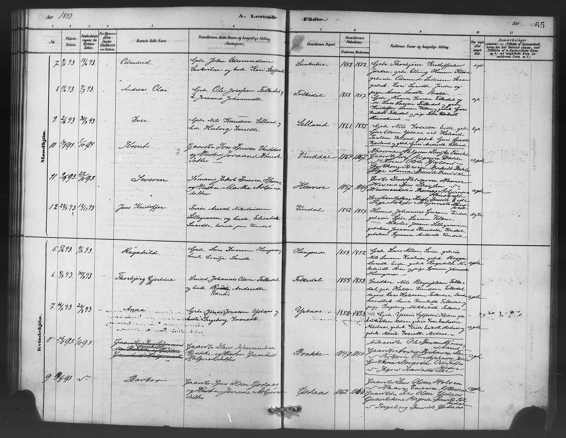 Ulvik sokneprestembete, SAB/A-78801/H/Haa: Parish register (official) no. C 1, 1878-1903, p. 65