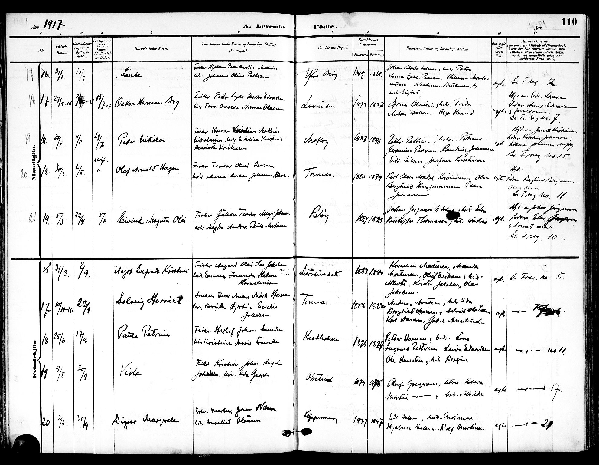 Ministerialprotokoller, klokkerbøker og fødselsregistre - Nordland, SAT/A-1459/839/L0569: Parish register (official) no. 839A06, 1903-1922, p. 110