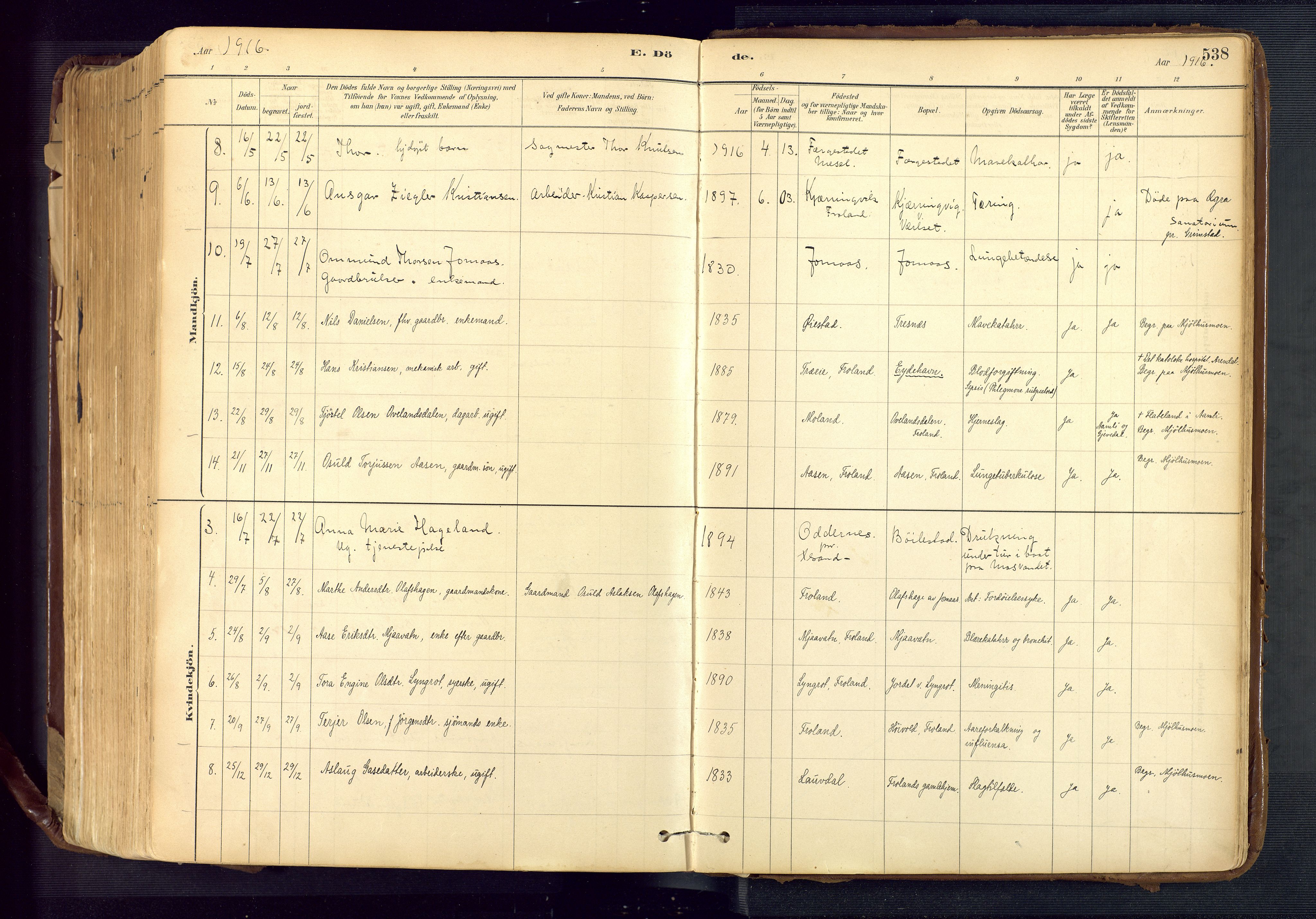 Froland sokneprestkontor, AV/SAK-1111-0013/F/Fa/L0005: Parish register (official) no. A 5, 1882-1921, p. 538