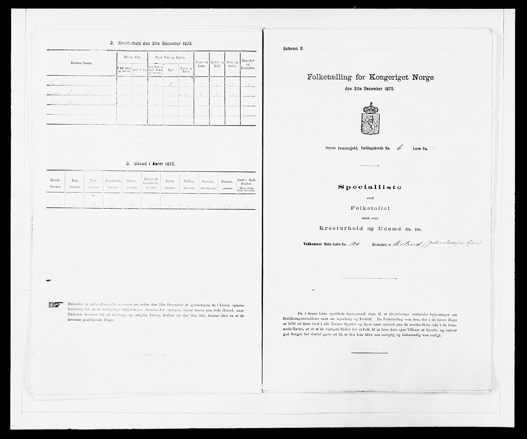 SAB, 1875 Census for 1448P Stryn, 1875, p. 431