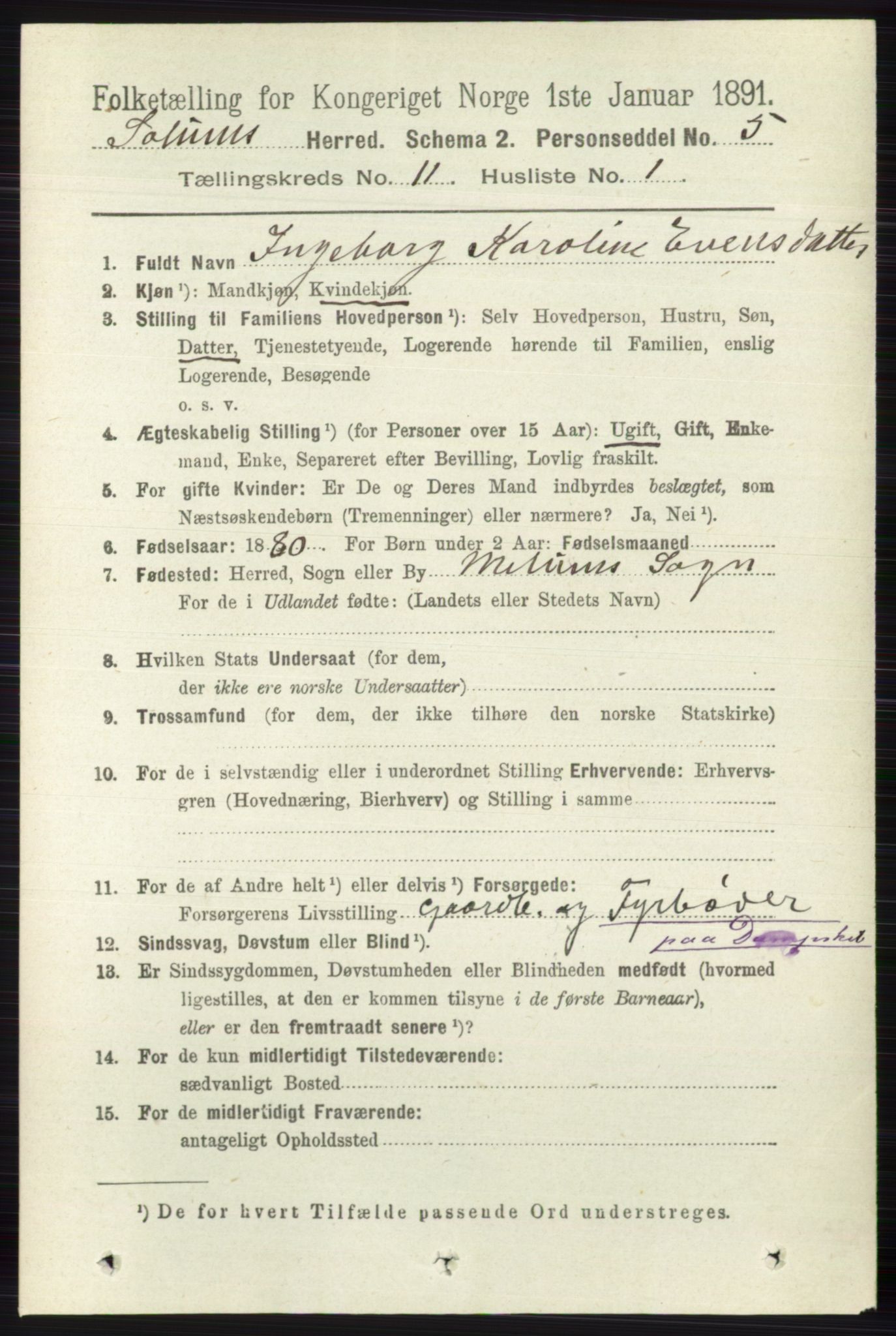 RA, 1891 census for 0818 Solum, 1891, p. 5291