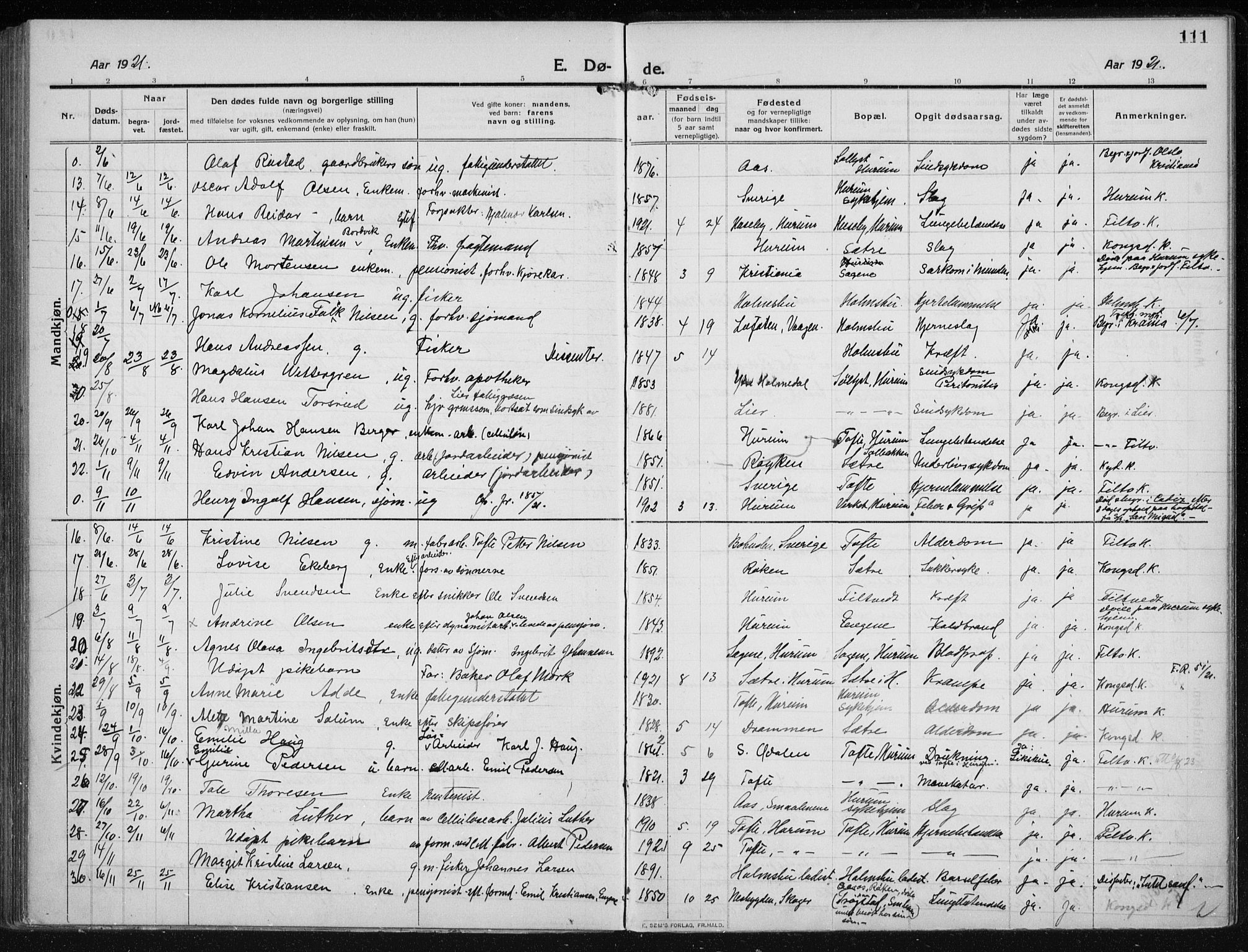 Hurum kirkebøker, AV/SAKO-A-229/F/Fa/L0017: Parish register (official) no. 17, 1910-1925, p. 111