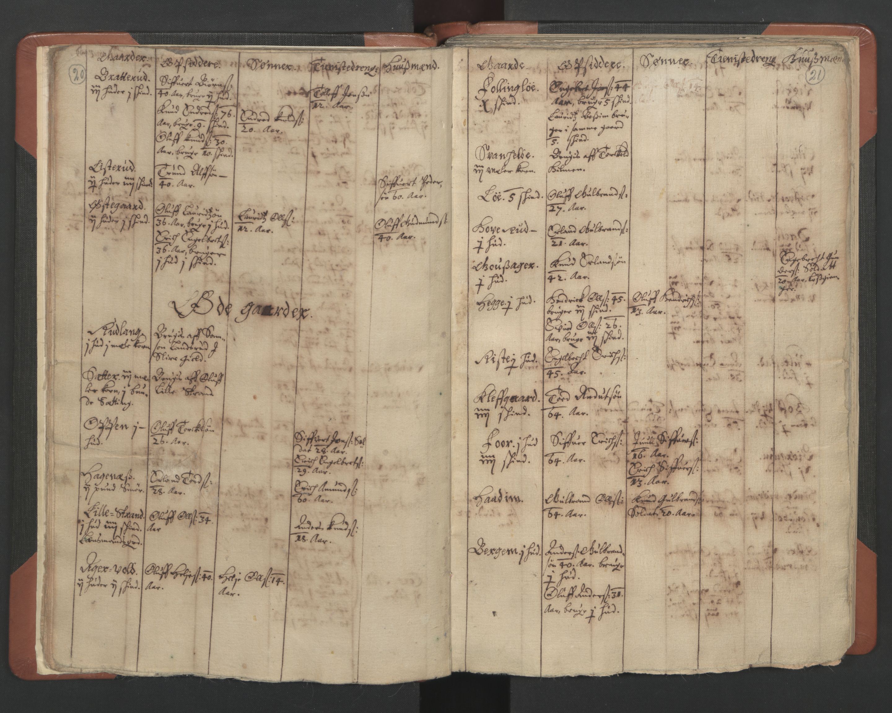 RA, Vicar's Census 1664-1666, no. 8: Valdres deanery, 1664-1666, p. 20-21