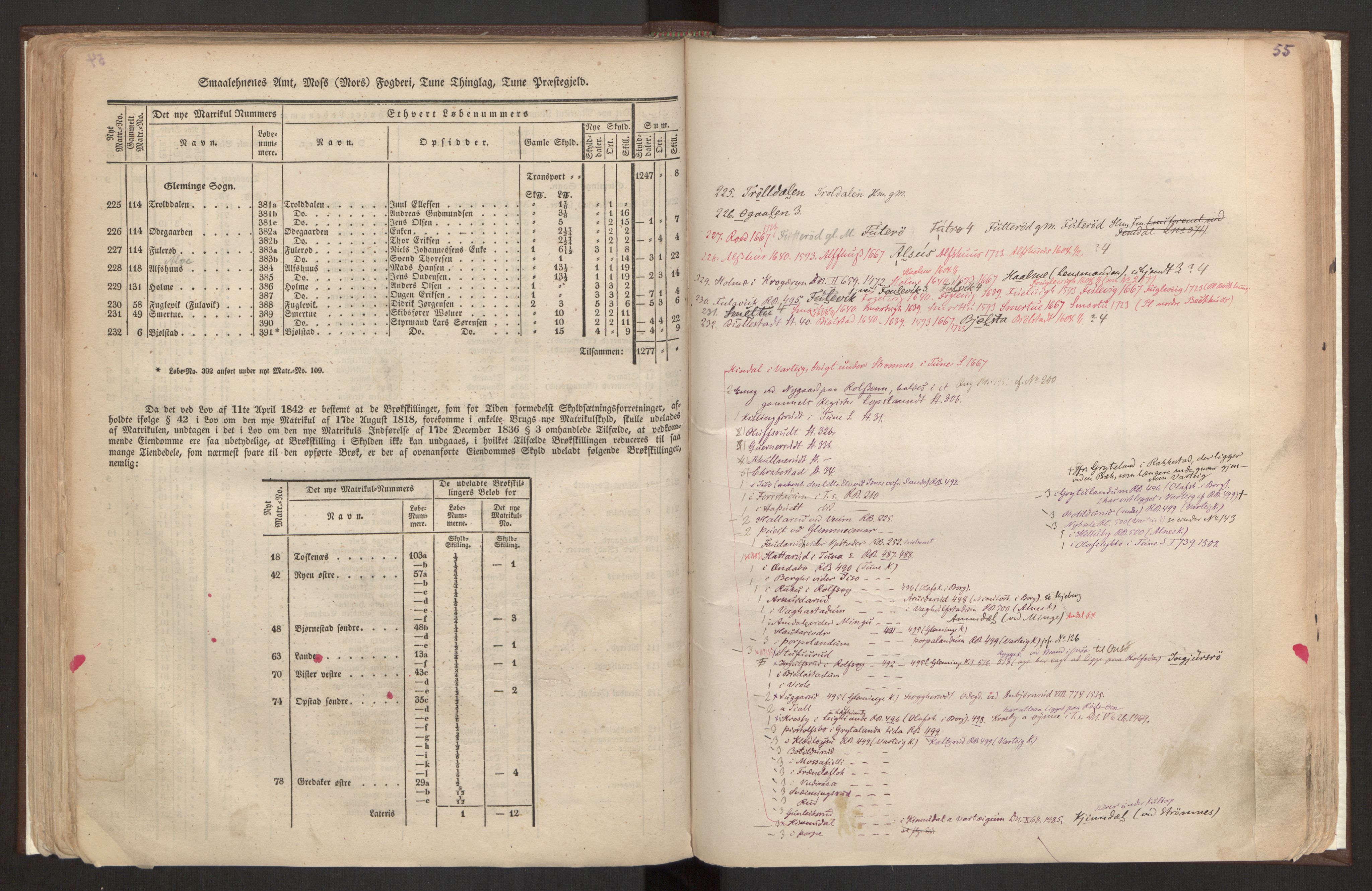 Rygh, AV/RA-PA-0034/F/Fb/L0001: Matrikkelen for 1838 - Smaalenes amt (Østfold fylke), 1838, p. 55a