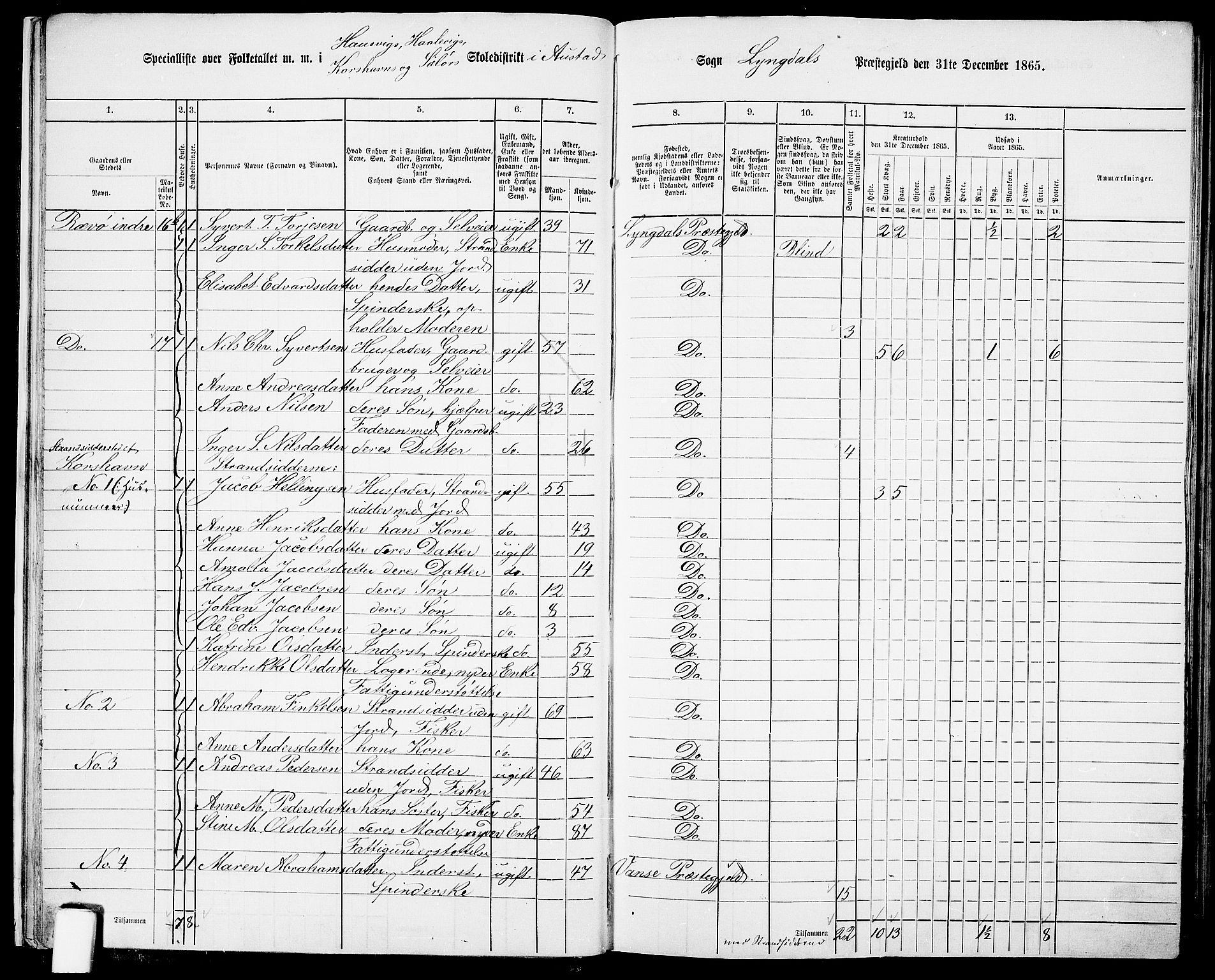 RA, 1865 census for Lyngdal, 1865, p. 25