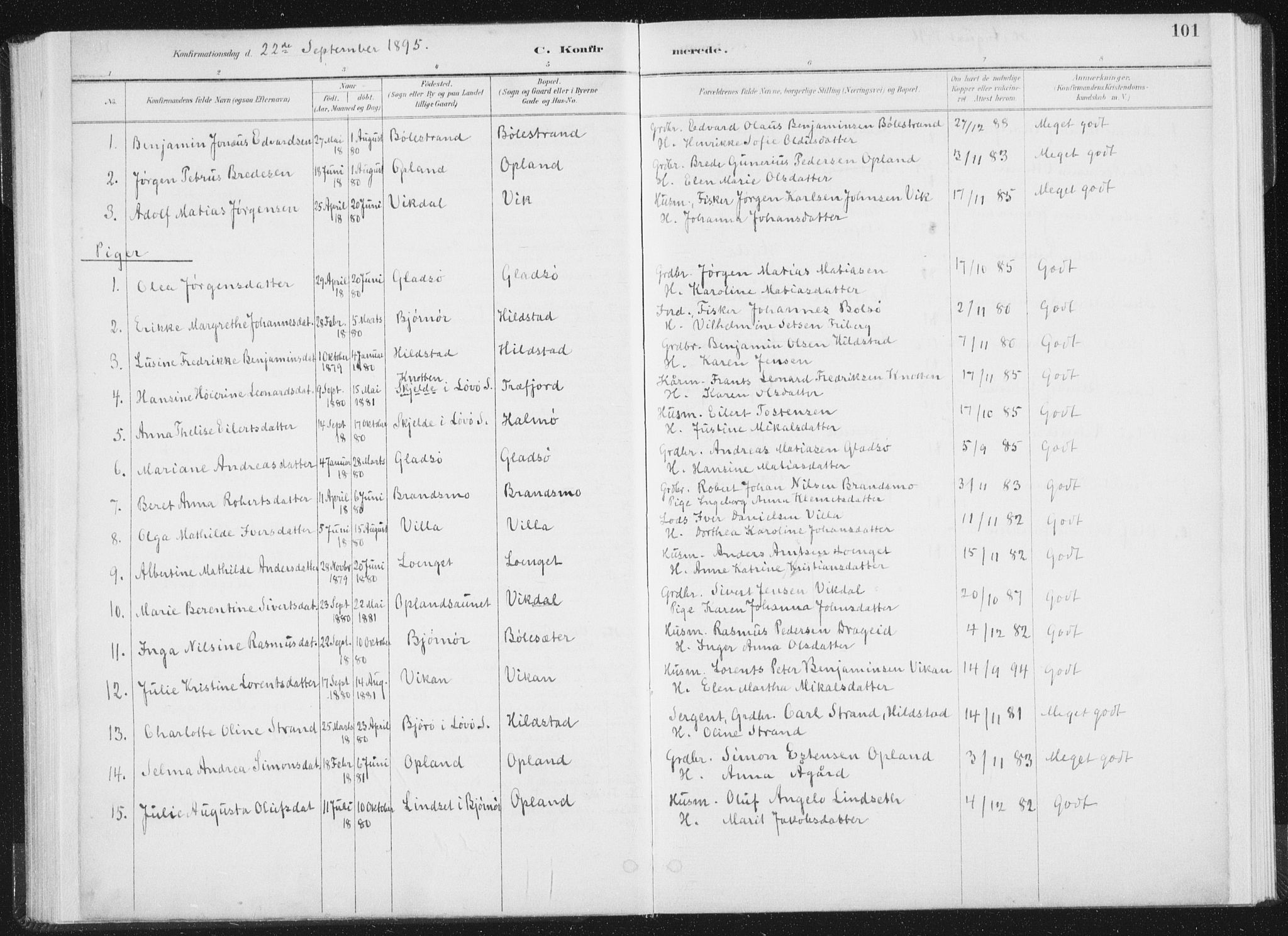 Ministerialprotokoller, klokkerbøker og fødselsregistre - Nord-Trøndelag, SAT/A-1458/771/L0597: Parish register (official) no. 771A04, 1885-1910, p. 101