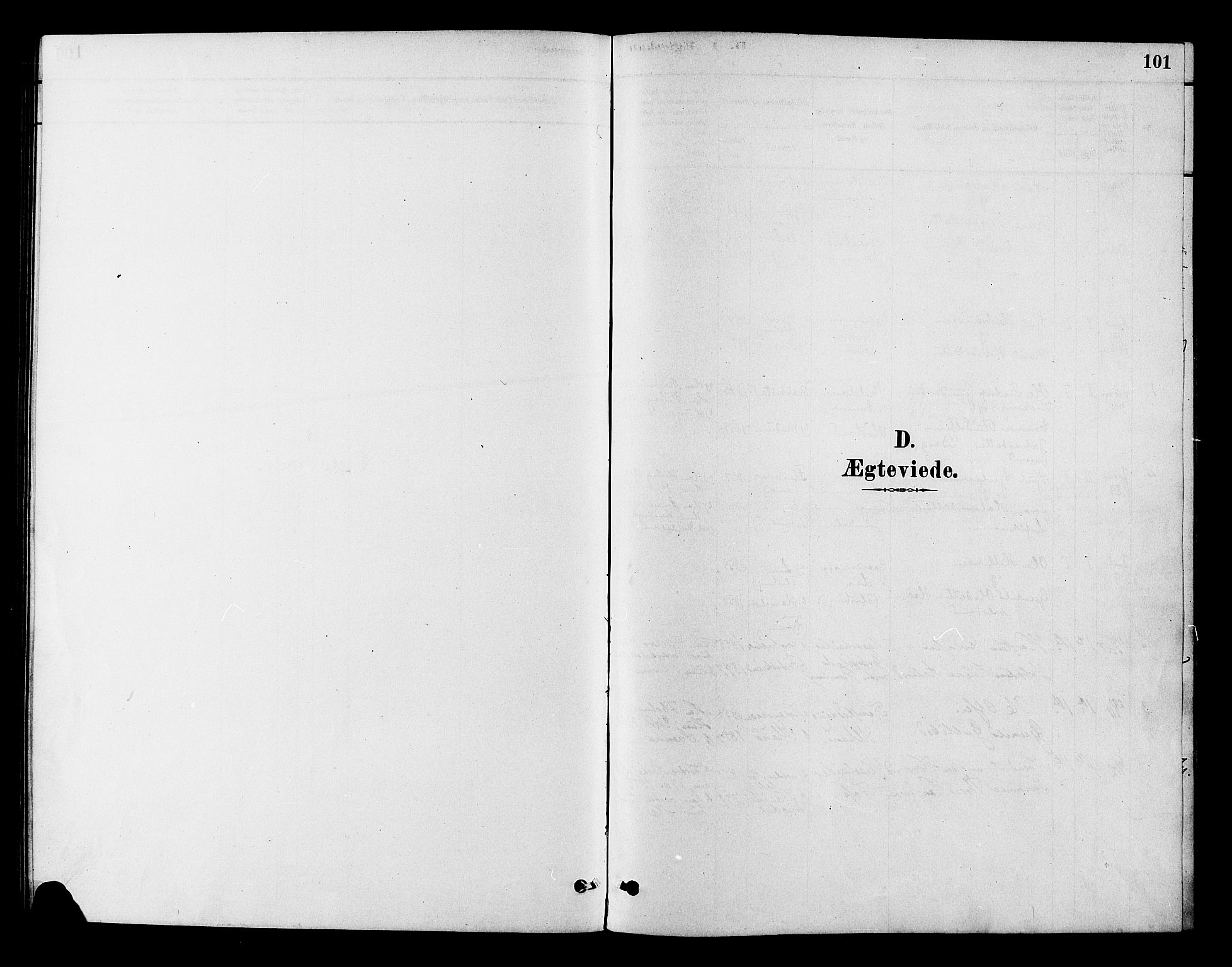 Flesberg kirkebøker, SAKO/A-18/F/Fb/L0001: Parish register (official) no. II 1, 1879-1907, p. 101