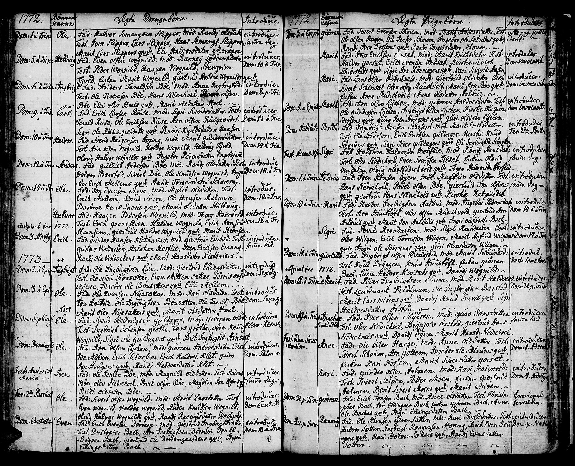 Ministerialprotokoller, klokkerbøker og fødselsregistre - Sør-Trøndelag, SAT/A-1456/678/L0891: Parish register (official) no. 678A01, 1739-1780, p. 134