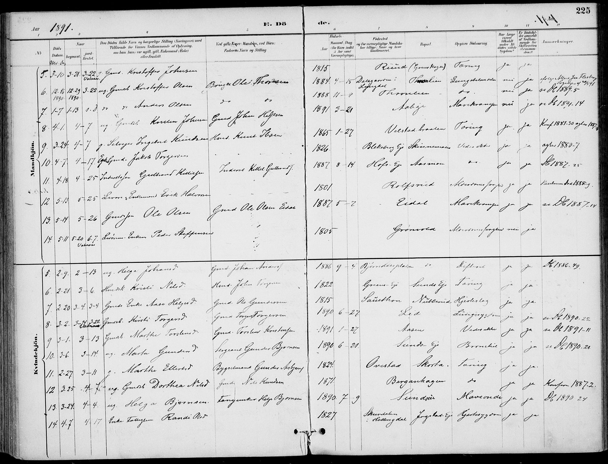 Sigdal kirkebøker, AV/SAKO-A-245/F/Fb/L0001: Parish register (official) no. II 1, 1888-1900, p. 225