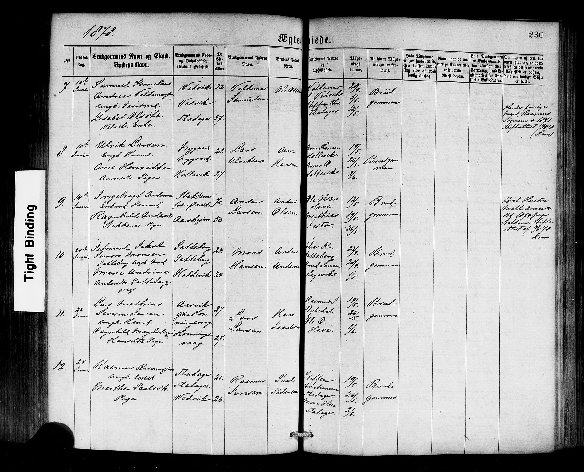 Selje sokneprestembete, SAB/A-99938/H/Ha/Haa/Haaa: Parish register (official) no. A 12, 1870-1880, p. 230
