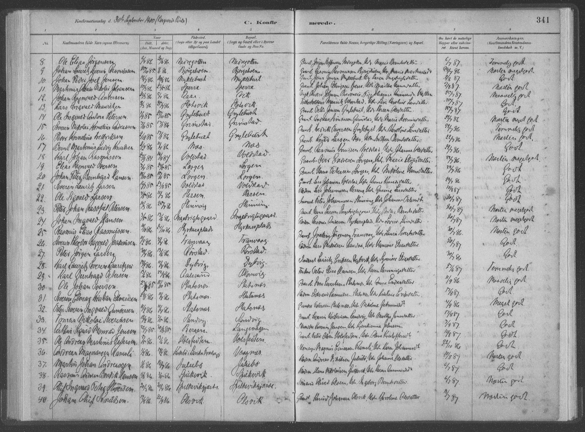 Ministerialprotokoller, klokkerbøker og fødselsregistre - Møre og Romsdal, SAT/A-1454/528/L0402: Parish register (official) no. 528A12II, 1880-1903, p. 341