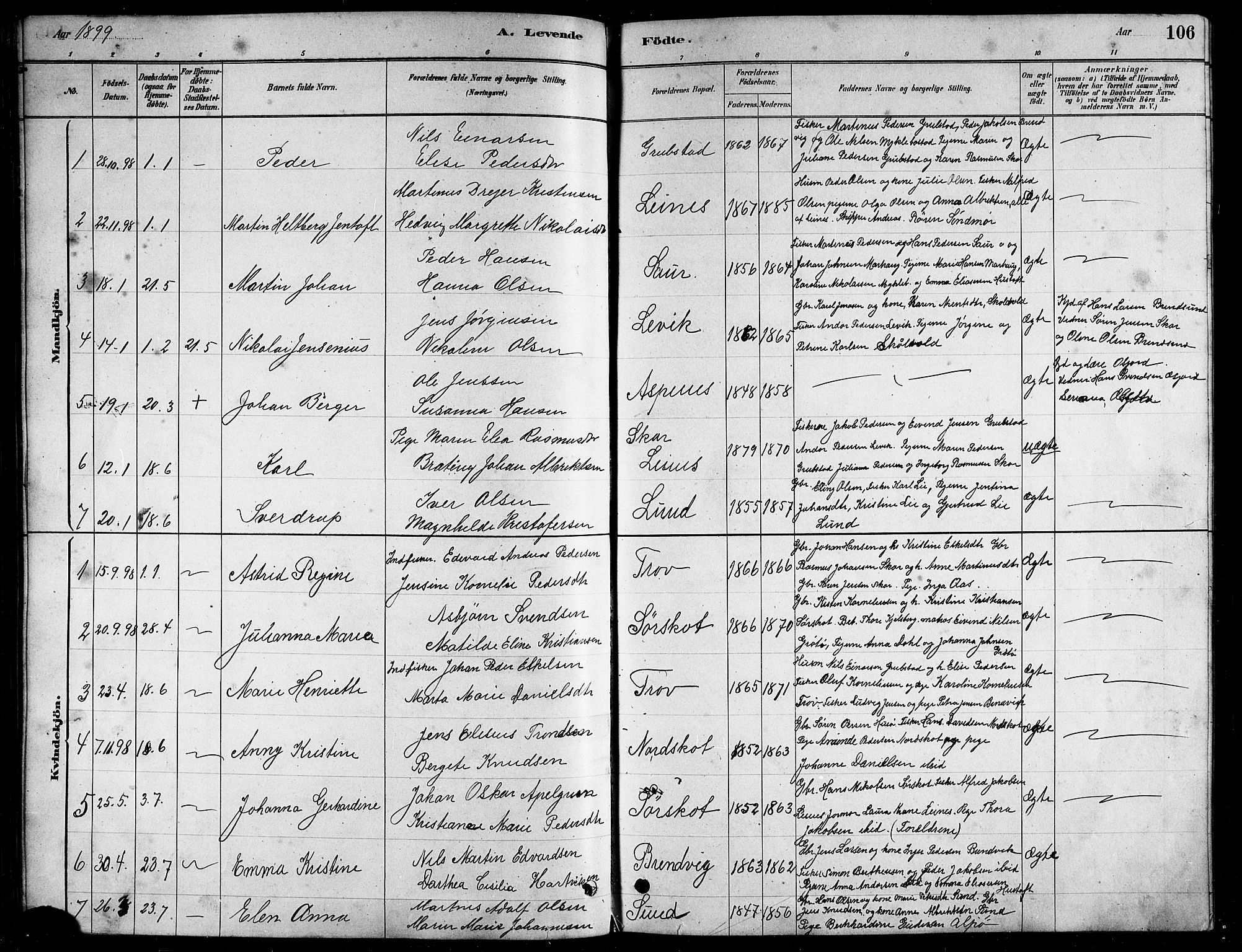 Ministerialprotokoller, klokkerbøker og fødselsregistre - Nordland, SAT/A-1459/857/L0828: Parish register (copy) no. 857C03, 1879-1908, p. 106