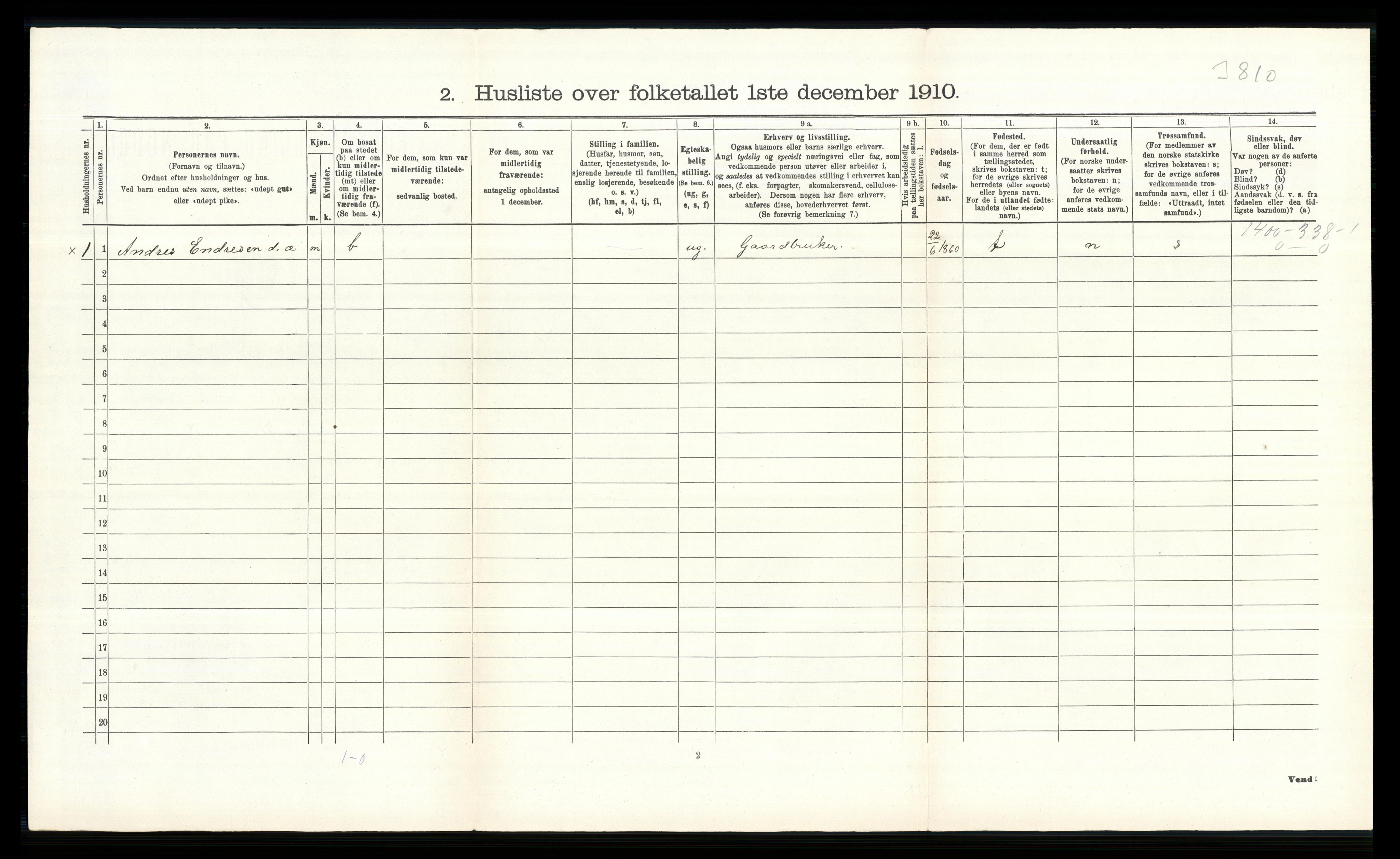 RA, 1910 census for Nes, 1910, p. 321