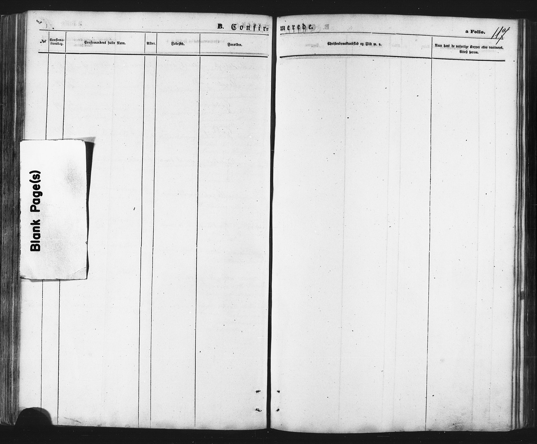 Balsfjord sokneprestembete, SATØ/S-1303/G/Ga/L0002klokker: Parish register (copy) no. 2, 1870-1886, p. 117