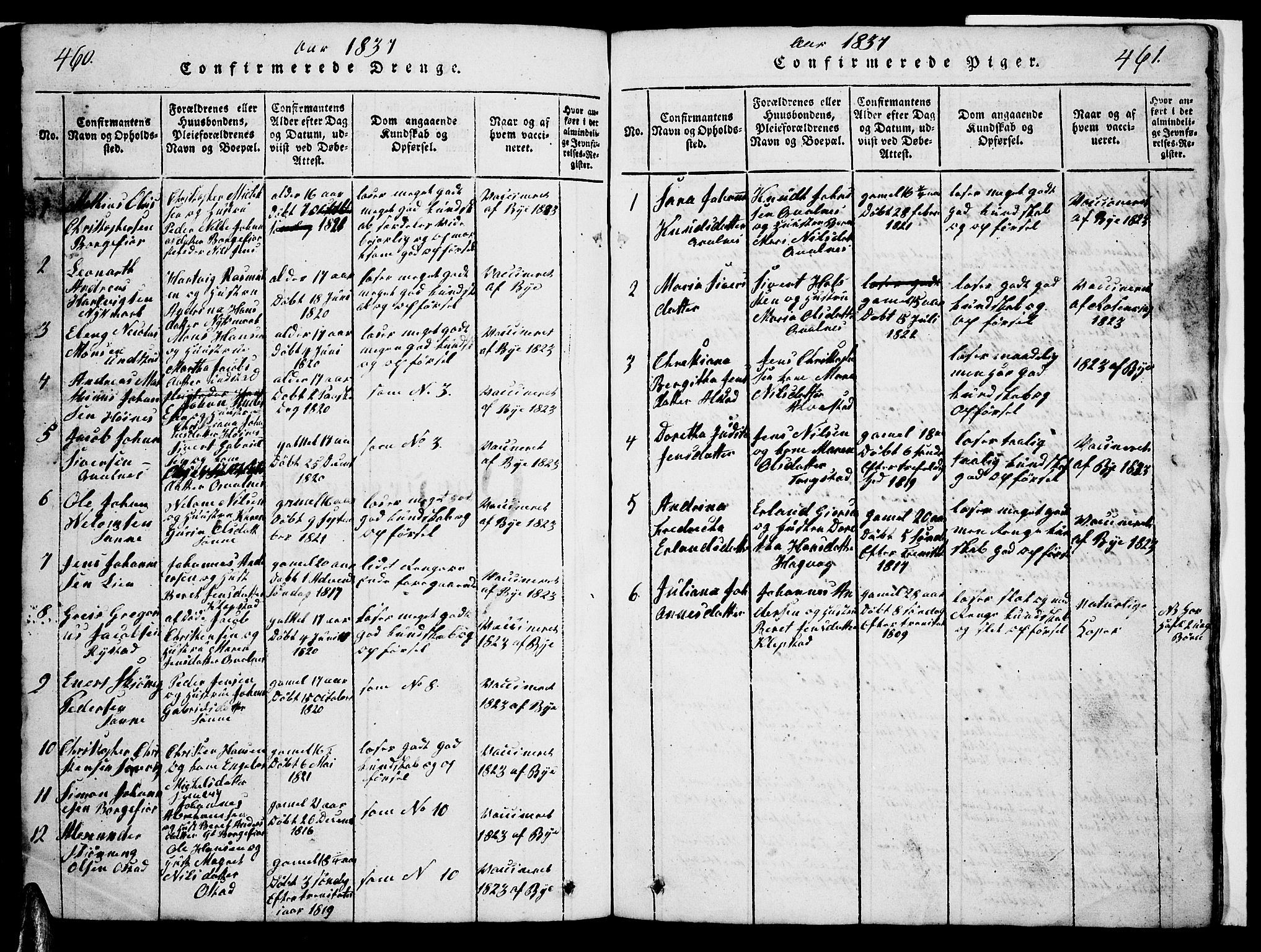 Ministerialprotokoller, klokkerbøker og fødselsregistre - Nordland, AV/SAT-A-1459/880/L1139: Parish register (copy) no. 880C01, 1836-1857, p. 460-461