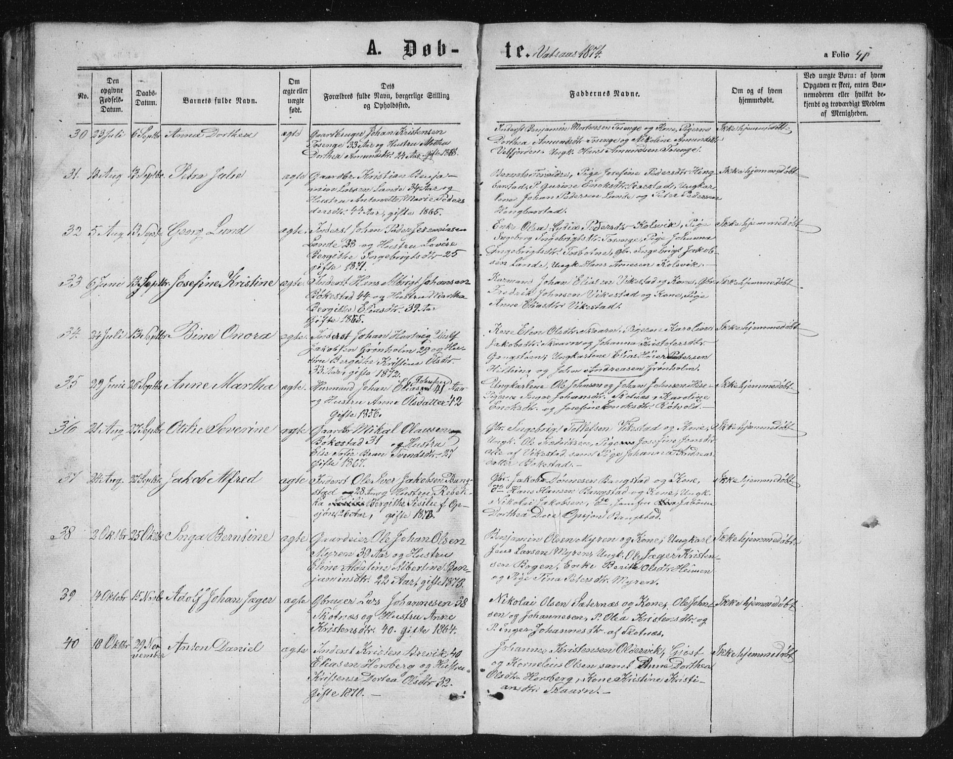 Ministerialprotokoller, klokkerbøker og fødselsregistre - Nordland, AV/SAT-A-1459/810/L0158: Parish register (copy) no. 810C02 /1, 1863-1883, p. 41