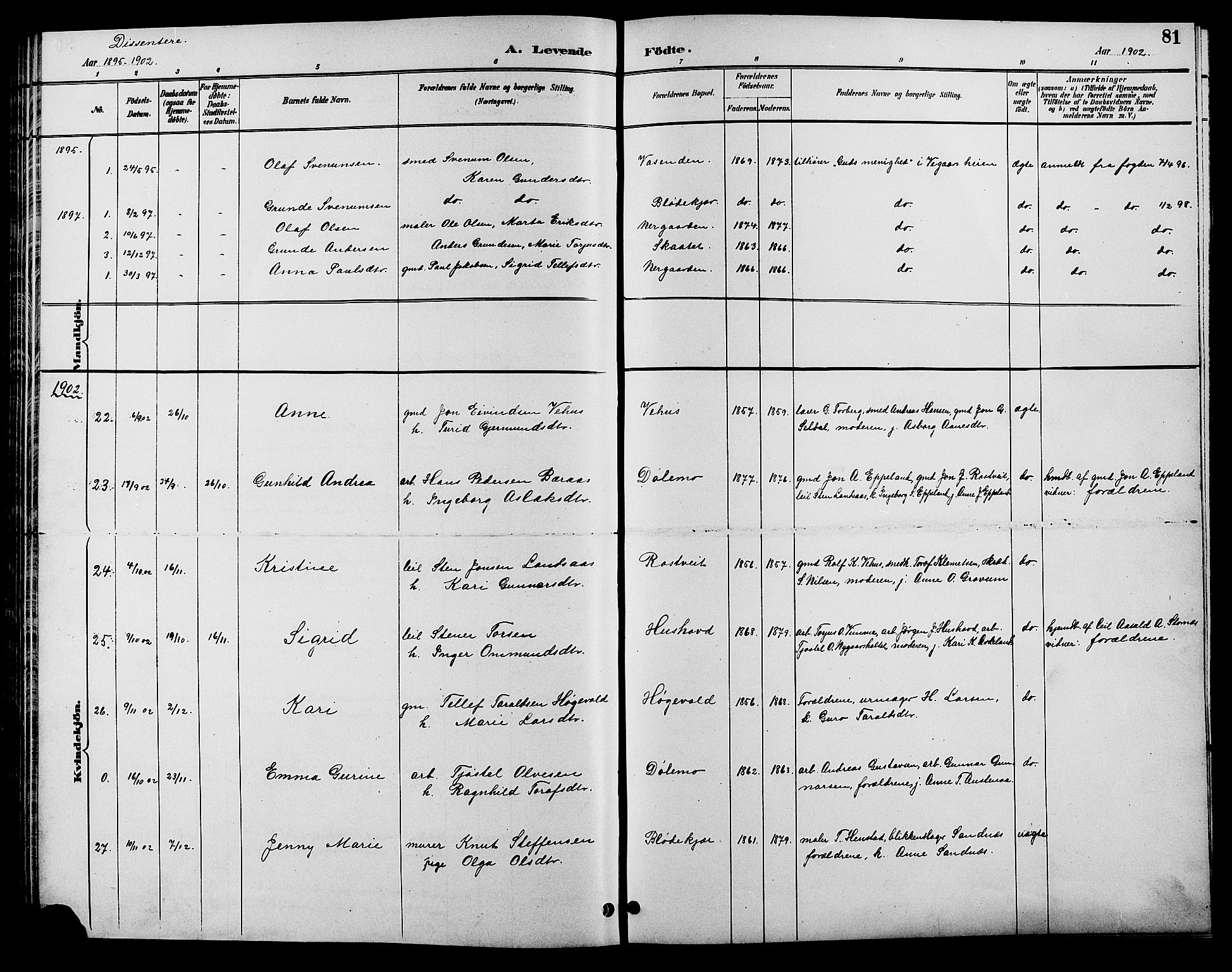 Åmli sokneprestkontor, SAK/1111-0050/F/Fb/Fbc/L0004: Parish register (copy) no. B 4, 1889-1902, p. 81