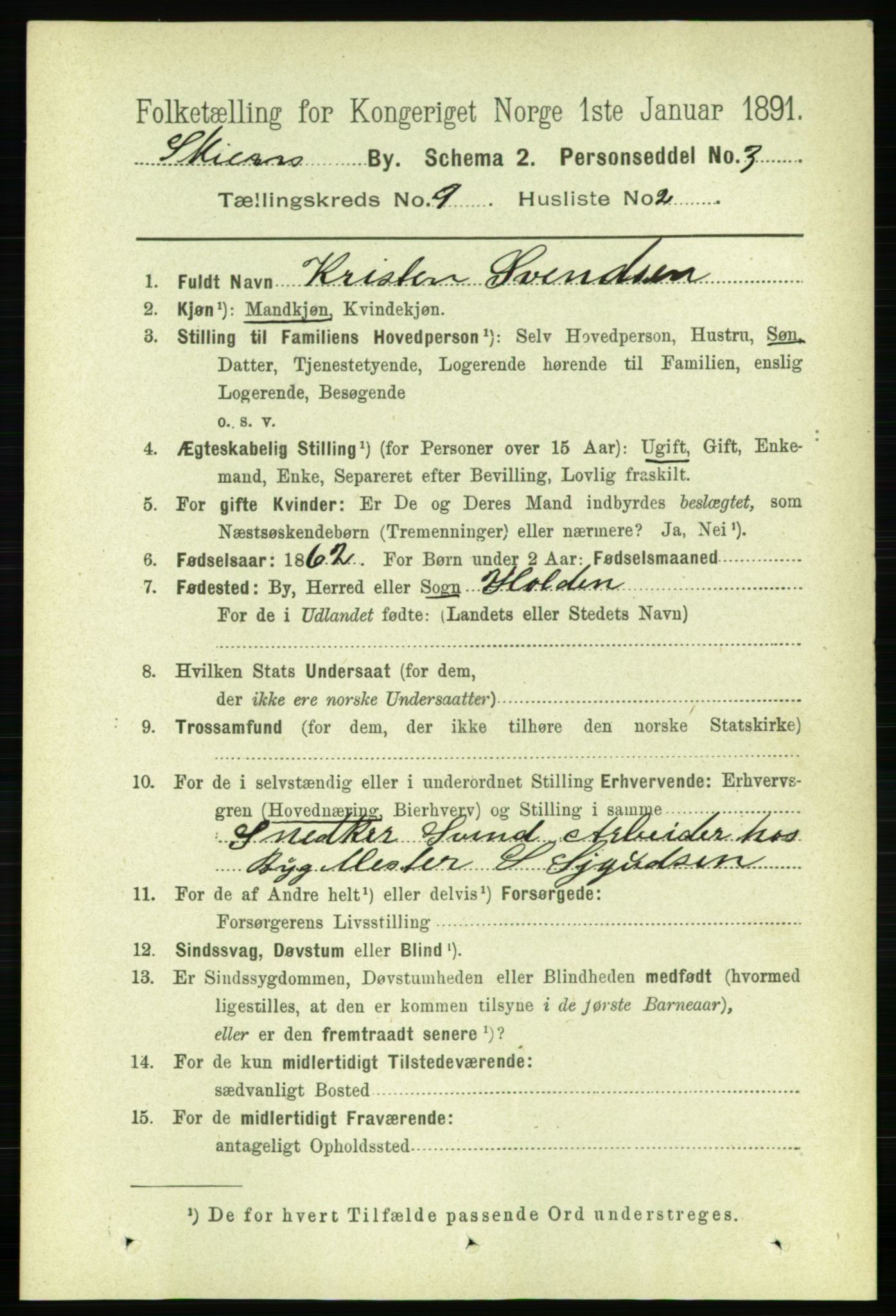 RA, 1891 census for 0806 Skien, 1891, p. 3529