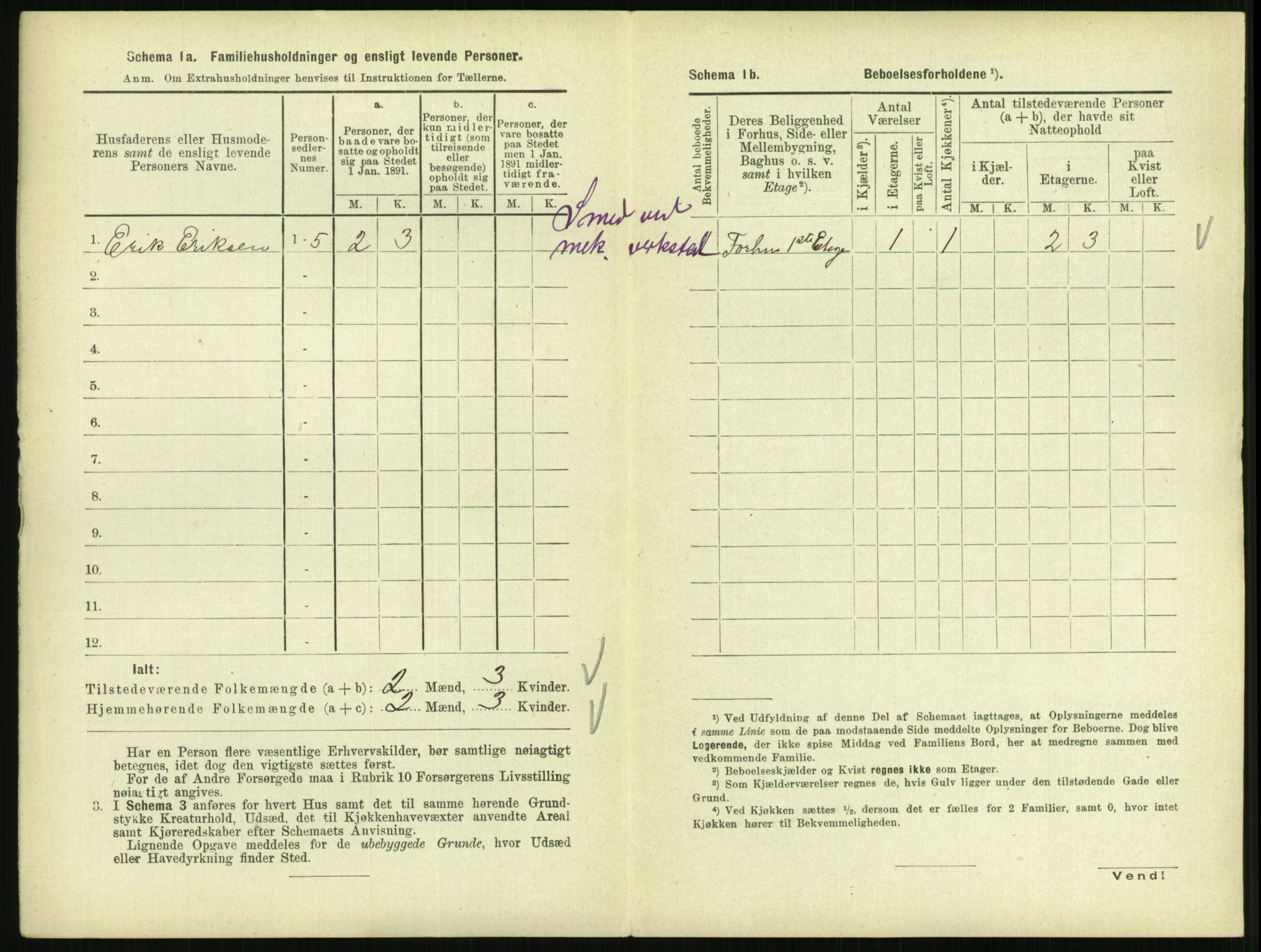 RA, 1891 census for 0805 Porsgrunn, 1891, p. 1006