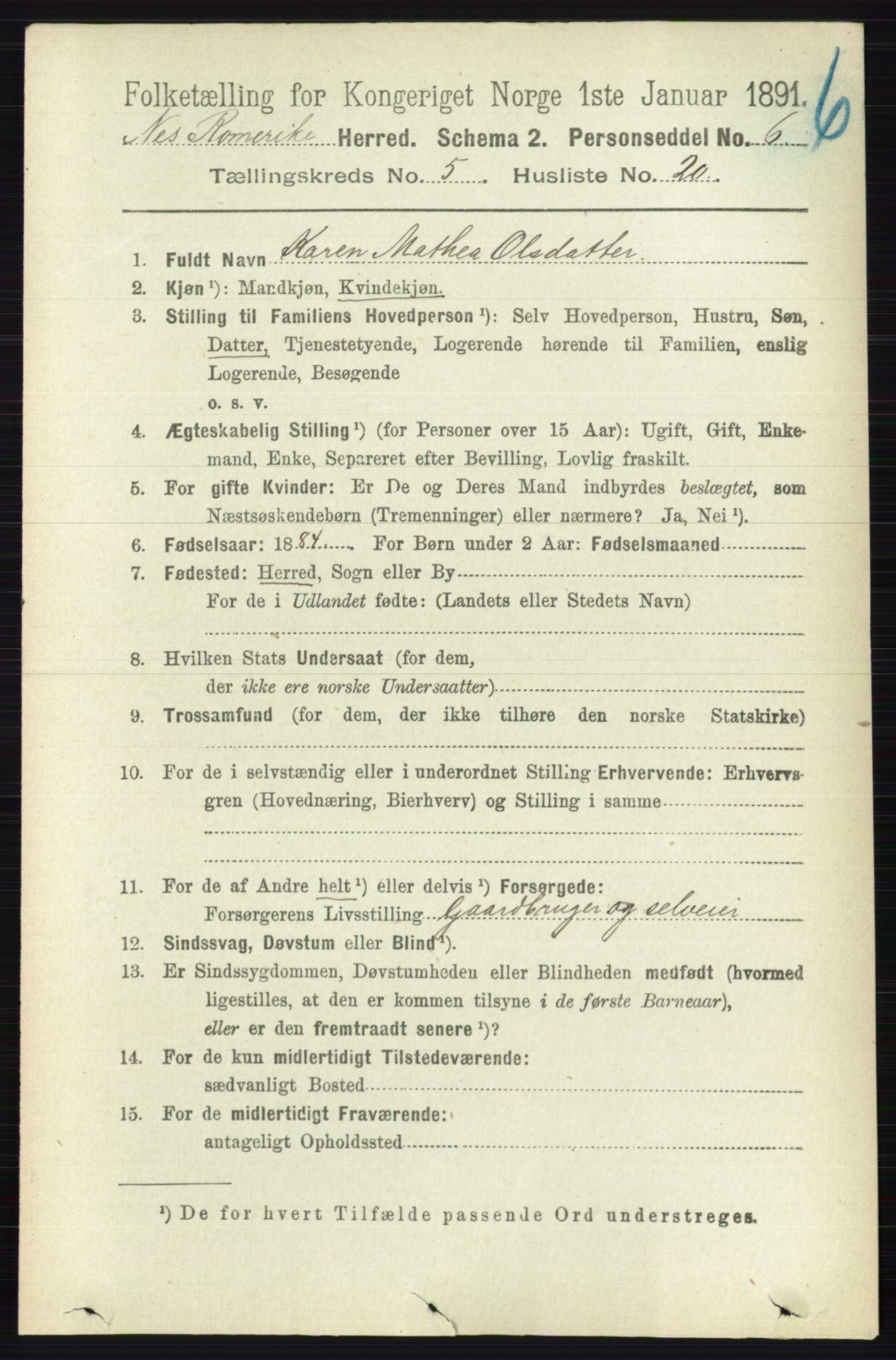 RA, 1891 census for 0236 Nes, 1891, p. 2901