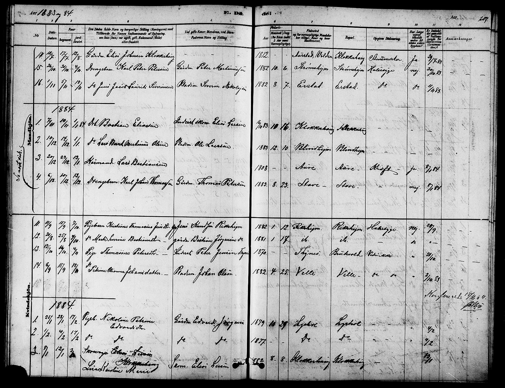 Ministerialprotokoller, klokkerbøker og fødselsregistre - Møre og Romsdal, SAT/A-1454/523/L0339: Parish register (copy) no. 523C02, 1878-1891, p. 207