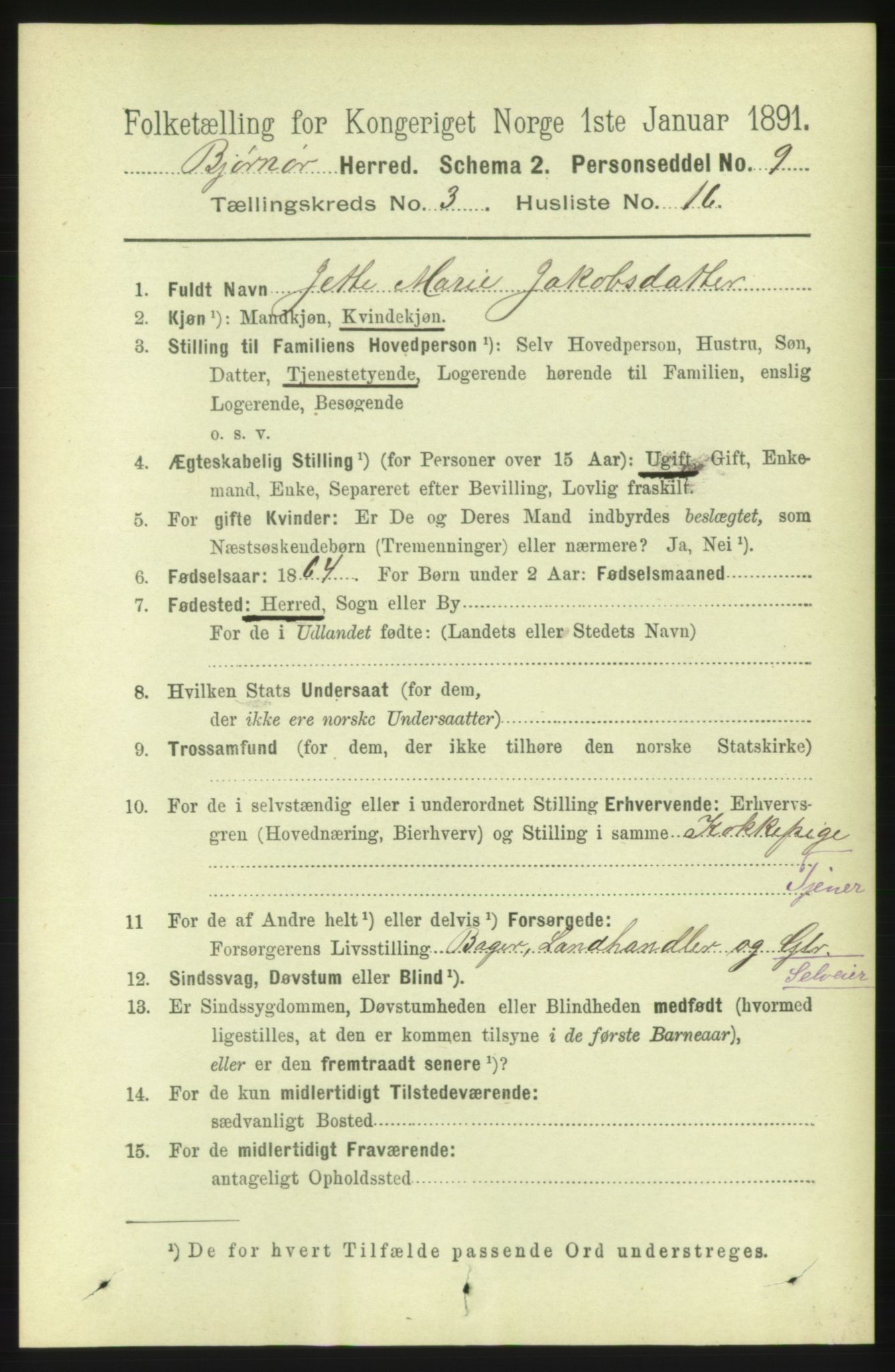 RA, 1891 census for 1632 Bjørnør, 1891, p. 1297