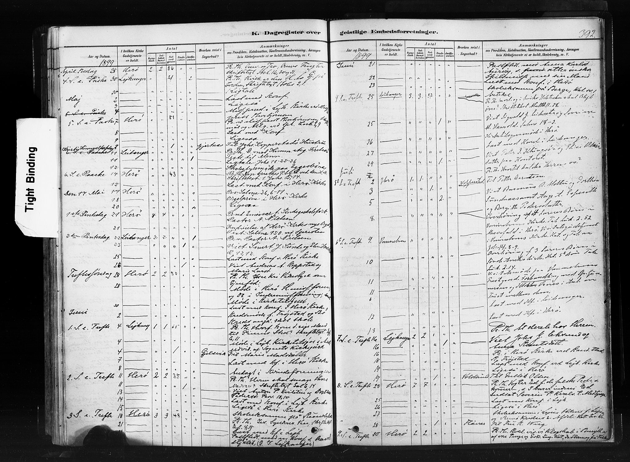 Ministerialprotokoller, klokkerbøker og fødselsregistre - Møre og Romsdal, AV/SAT-A-1454/507/L0073: Parish register (official) no. 507A08, 1878-1904, p. 392