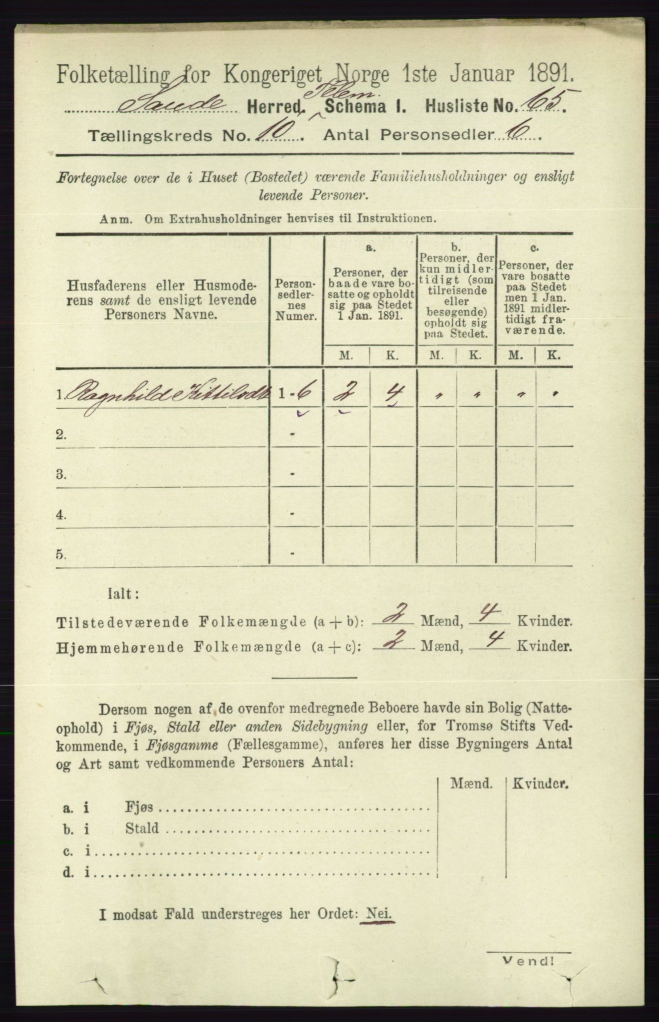 RA, 1891 census for 0822 Sauherad, 1891, p. 2999