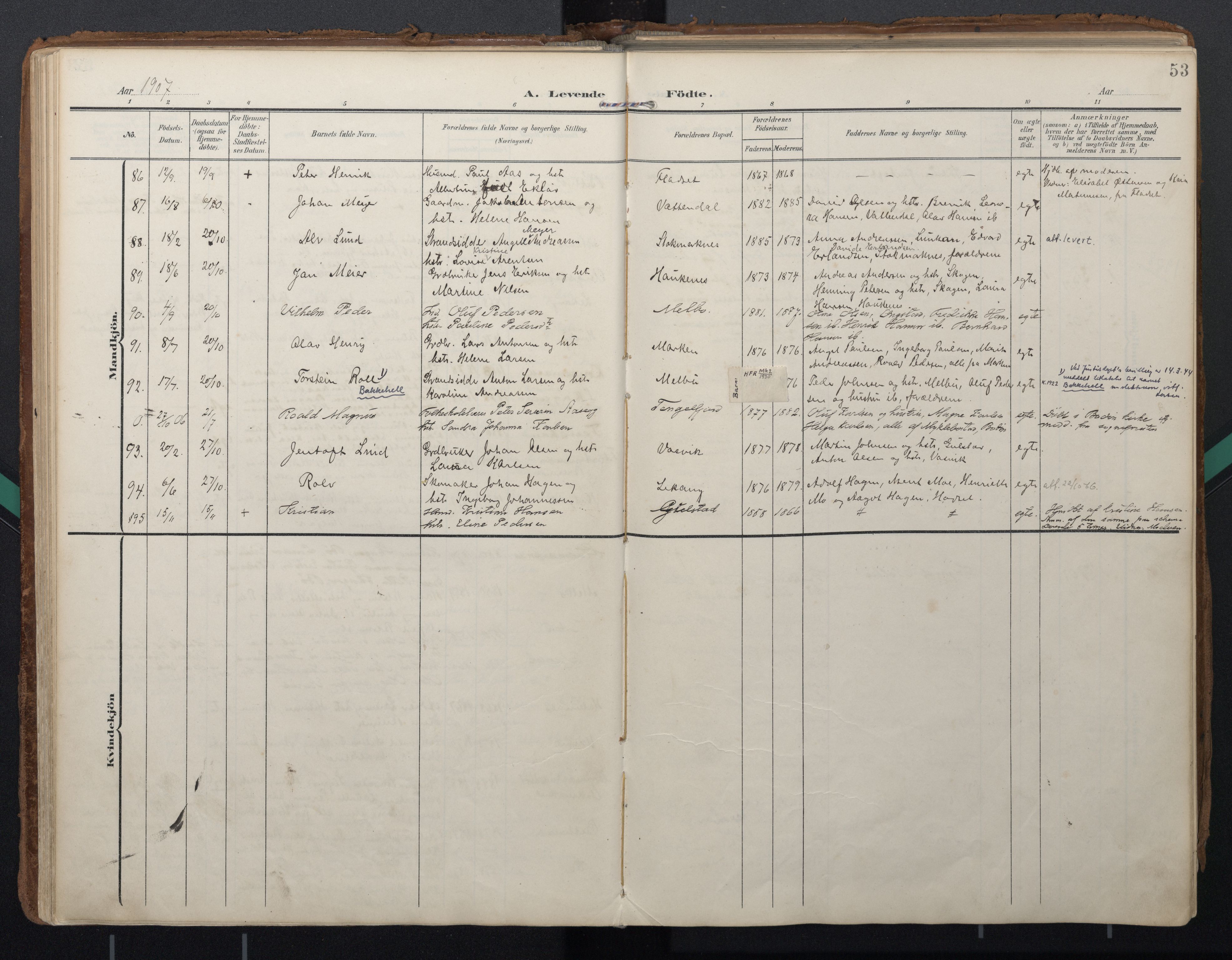Ministerialprotokoller, klokkerbøker og fødselsregistre - Nordland, AV/SAT-A-1459/888/L1248: Parish register (official) no. 888A14, 1904-1913, p. 53