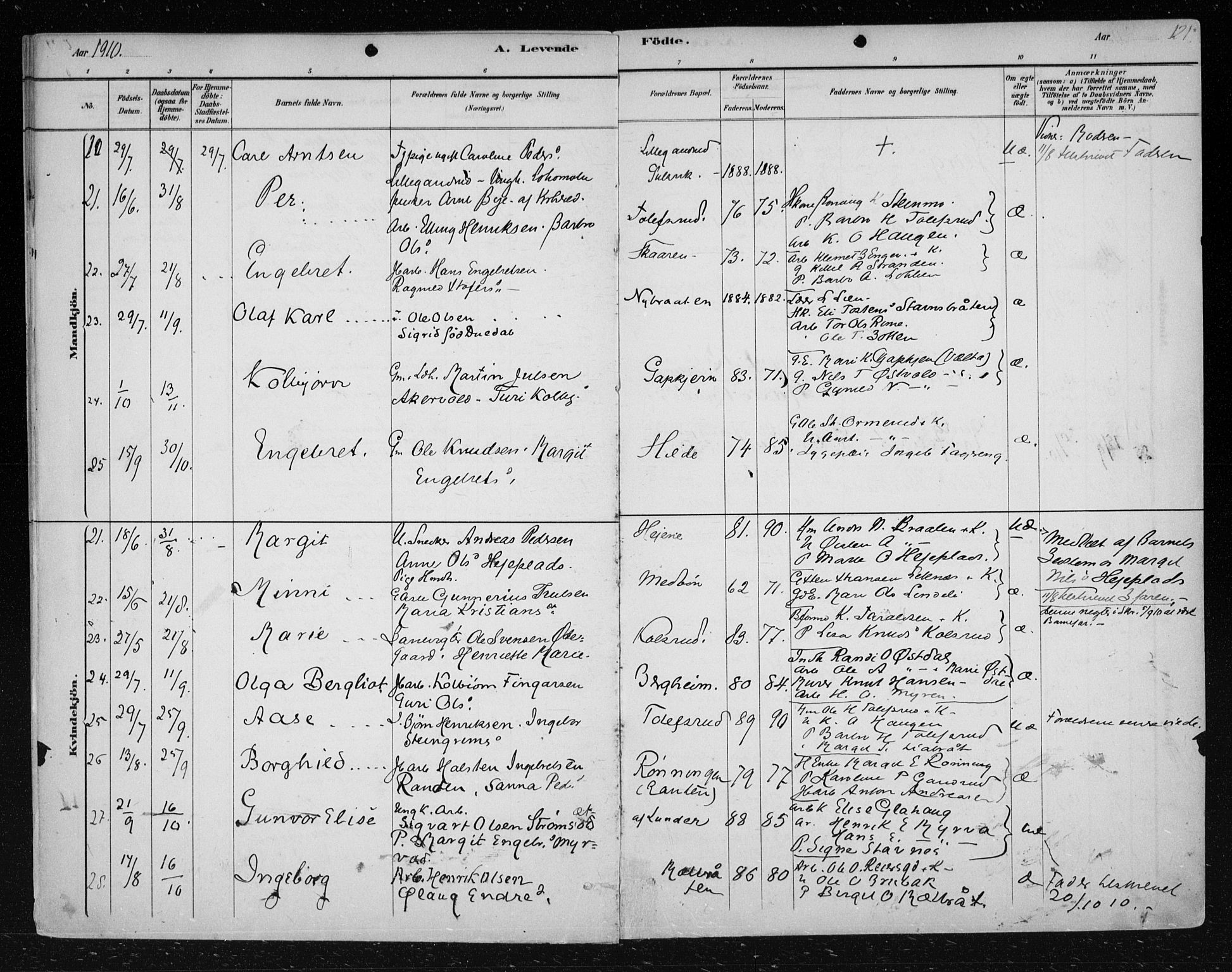 Nes kirkebøker, AV/SAKO-A-236/F/Fa/L0012: Parish register (official) no. 12, 1881-1917, p. 121