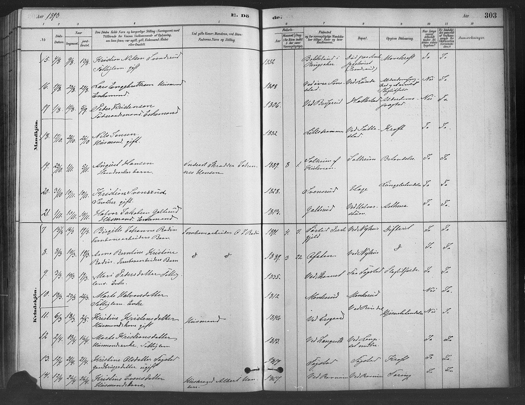 Fåberg prestekontor, AV/SAH-PREST-086/H/Ha/Haa/L0009: Parish register (official) no. 9, 1879-1898, p. 303