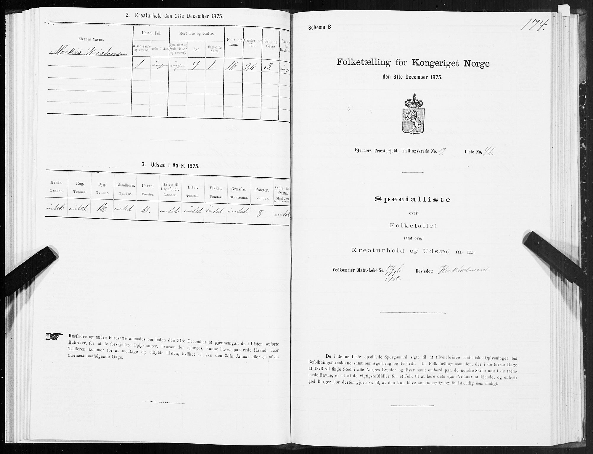 SAT, 1875 census for 1632P Bjørnør, 1875, p. 4174