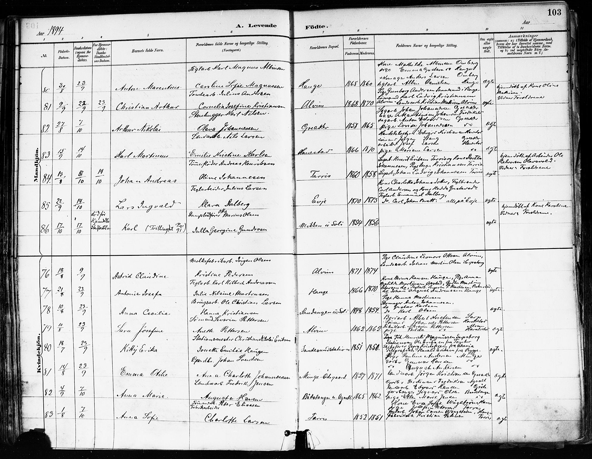 Tune prestekontor Kirkebøker, SAO/A-2007/F/Fa/L0018: Parish register (official) no. 18, 1887-1898, p. 103