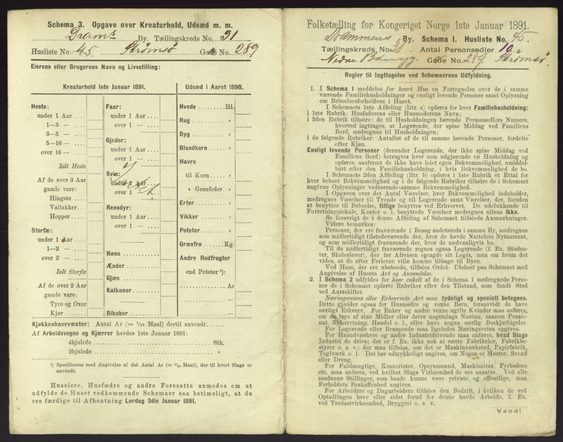 RA, 1891 census for 0602 Drammen, 1891, p. 2747