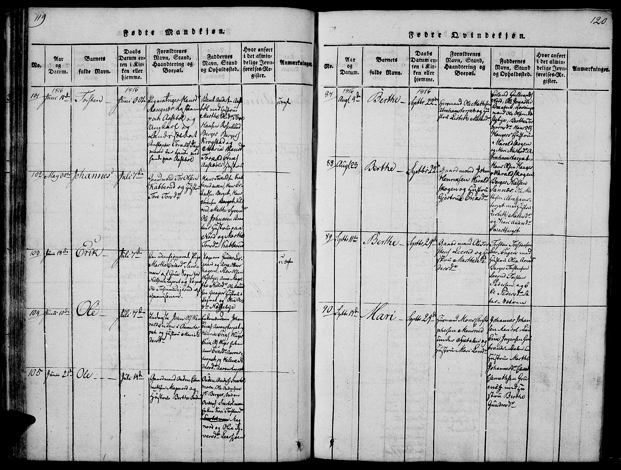 Vinger prestekontor, SAH/PREST-024/H/Ha/Hab/L0001: Parish register (copy) no. 1, 1814-1825, p. 119-120