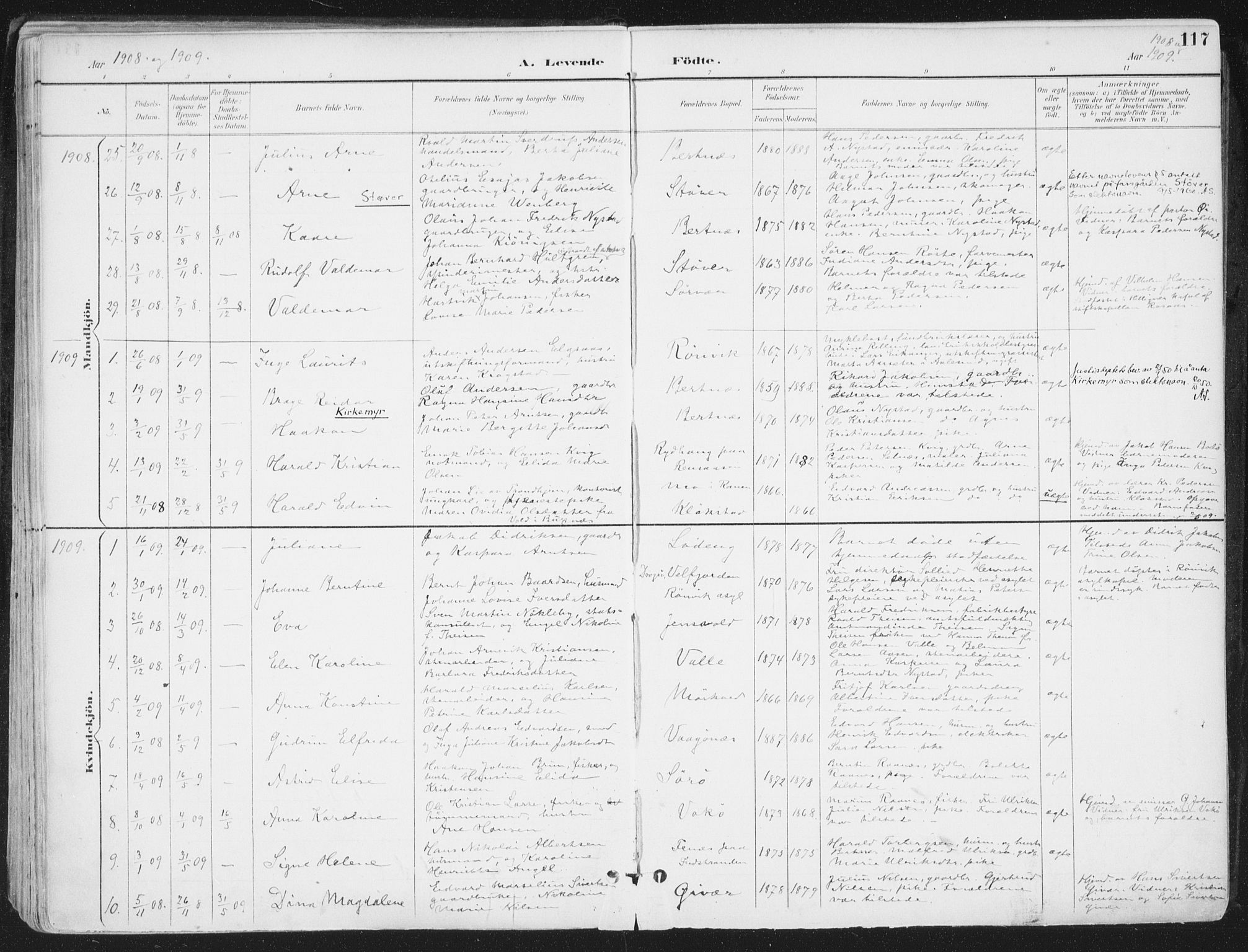 Ministerialprotokoller, klokkerbøker og fødselsregistre - Nordland, AV/SAT-A-1459/802/L0055: Parish register (official) no. 802A02, 1894-1915, p. 117